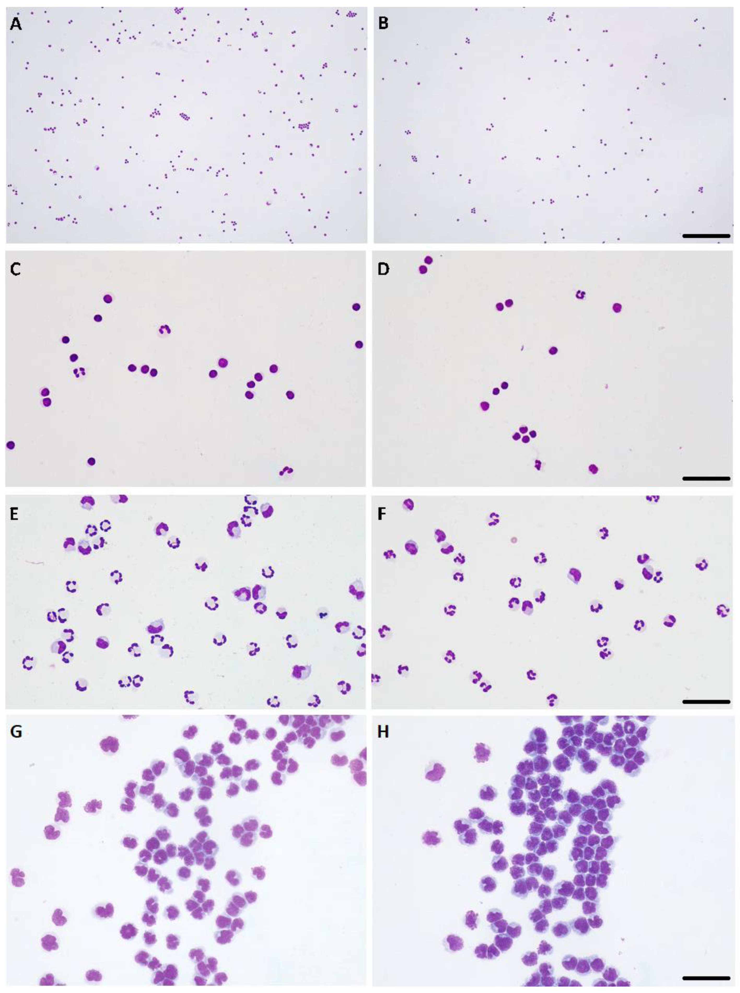 Vetsci 10 00631 g002