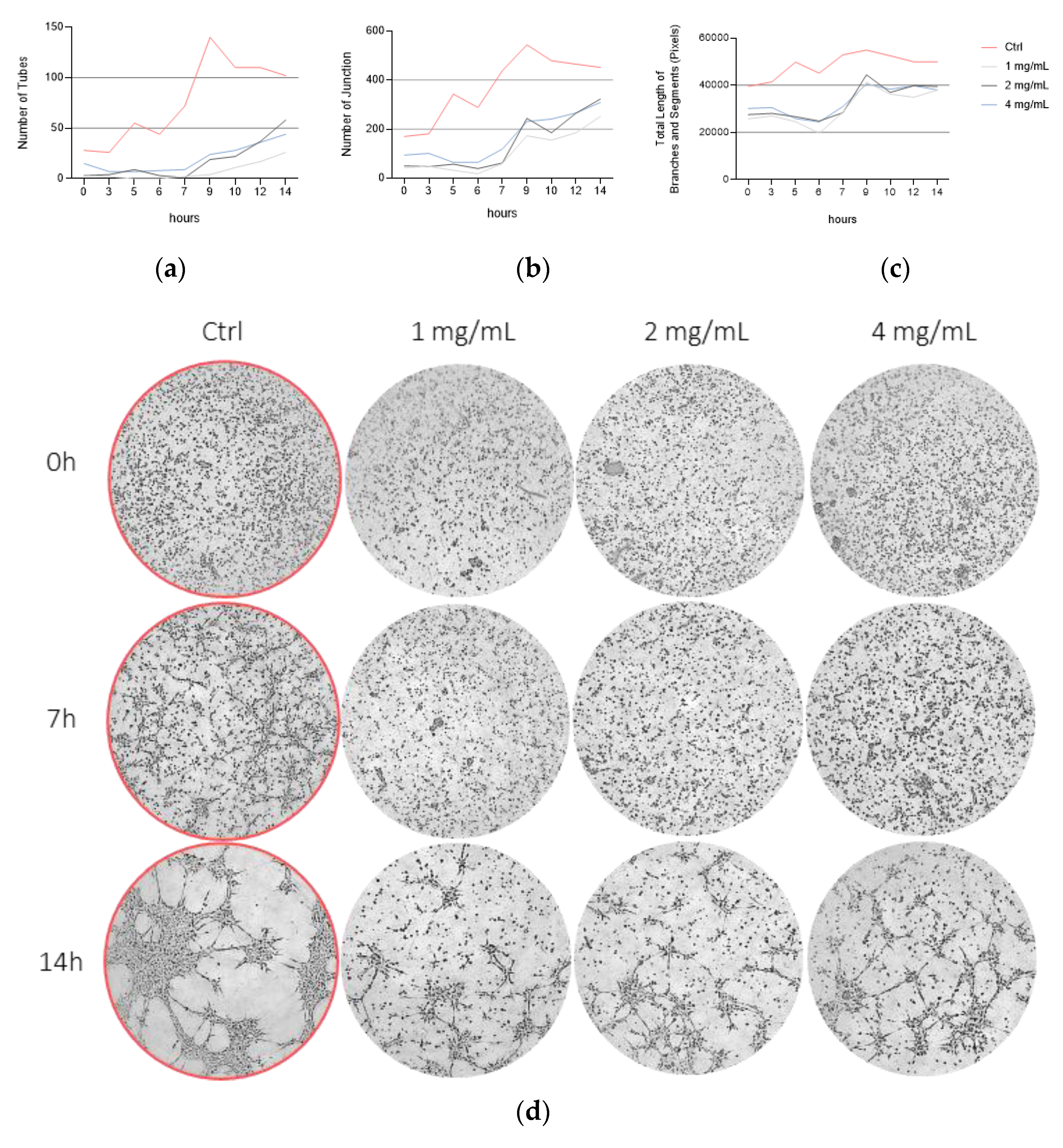 Vetsci 10 00632 g004 Vetsci 10 00632 g004