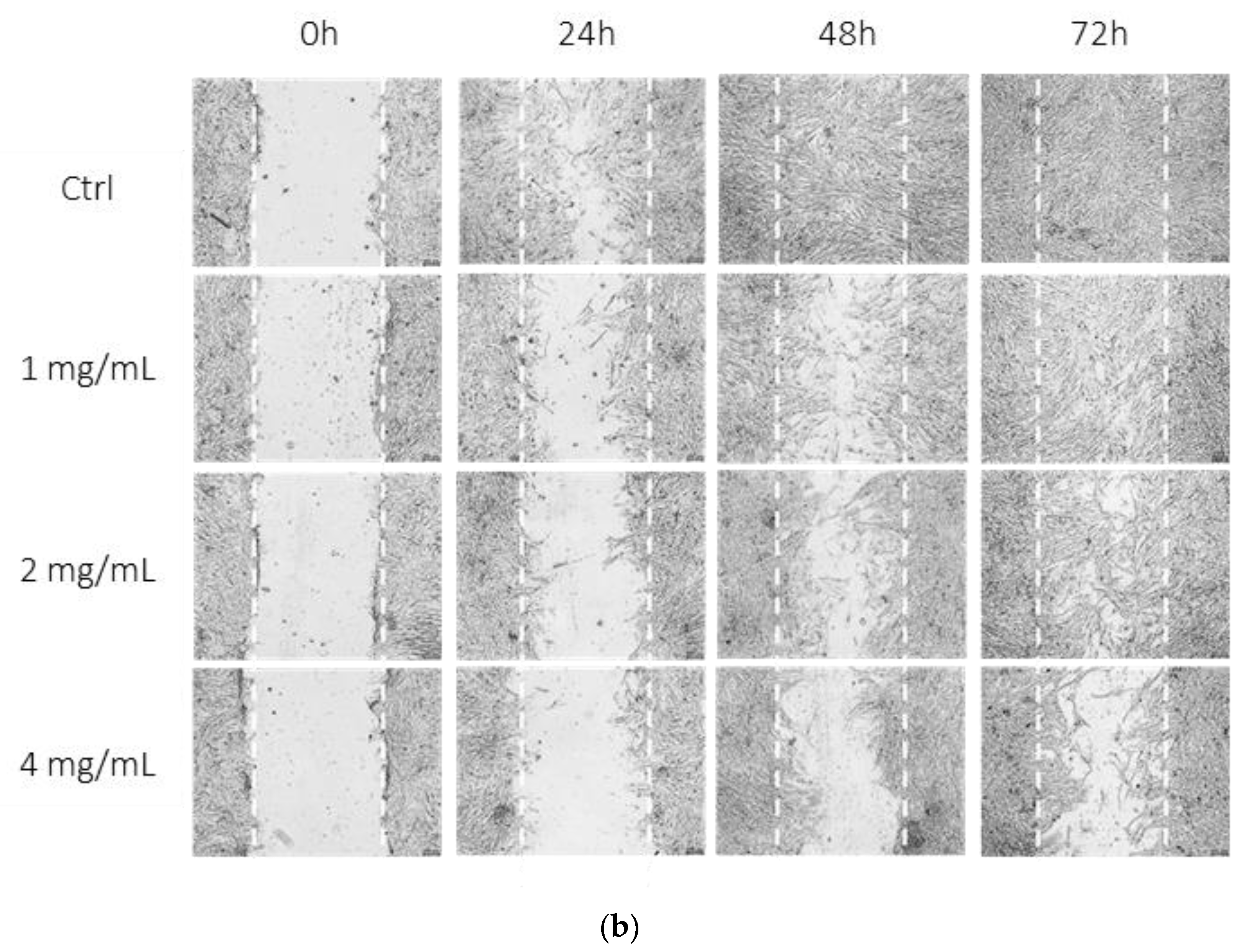 Vetsci 10 00632 g005b Vetsci 10 00632 g005b