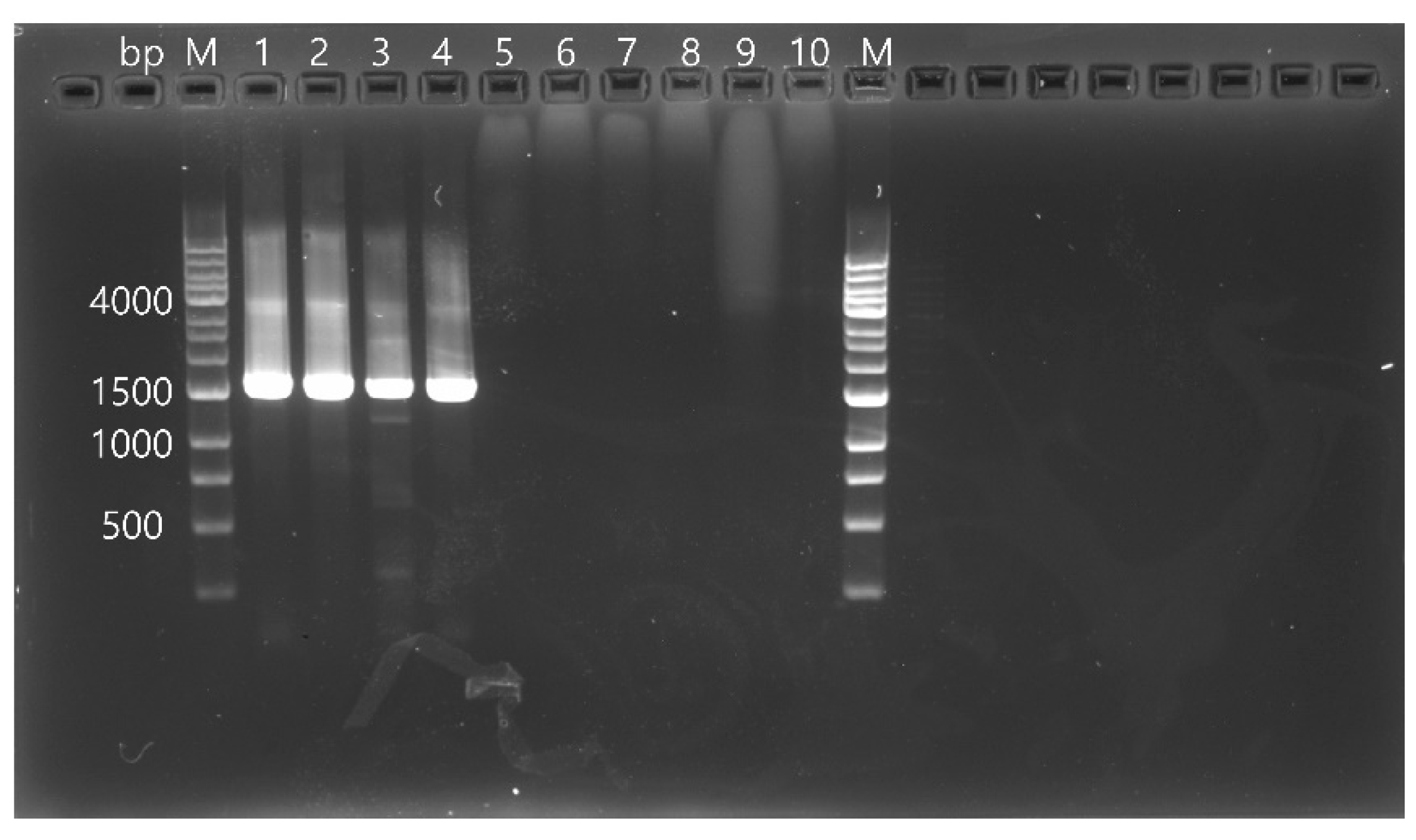 Vetsci 10 00633 g001