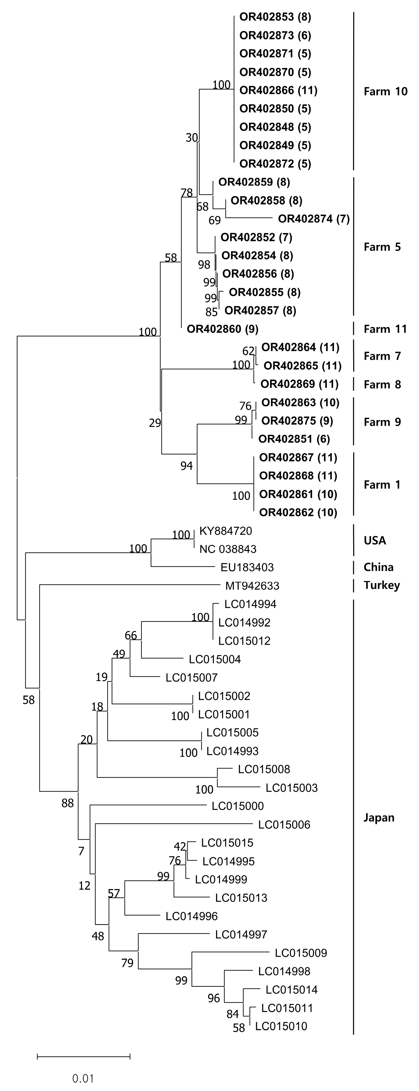 Vetsci 10 00633 g002