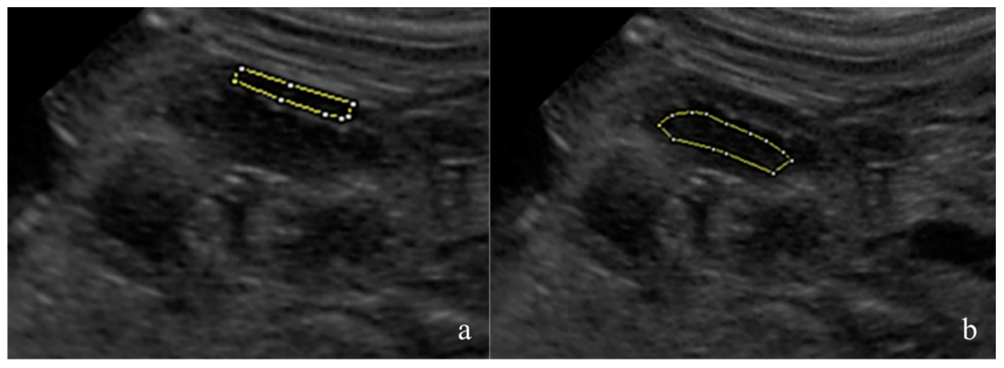 Vetsci 10 00639 g001
