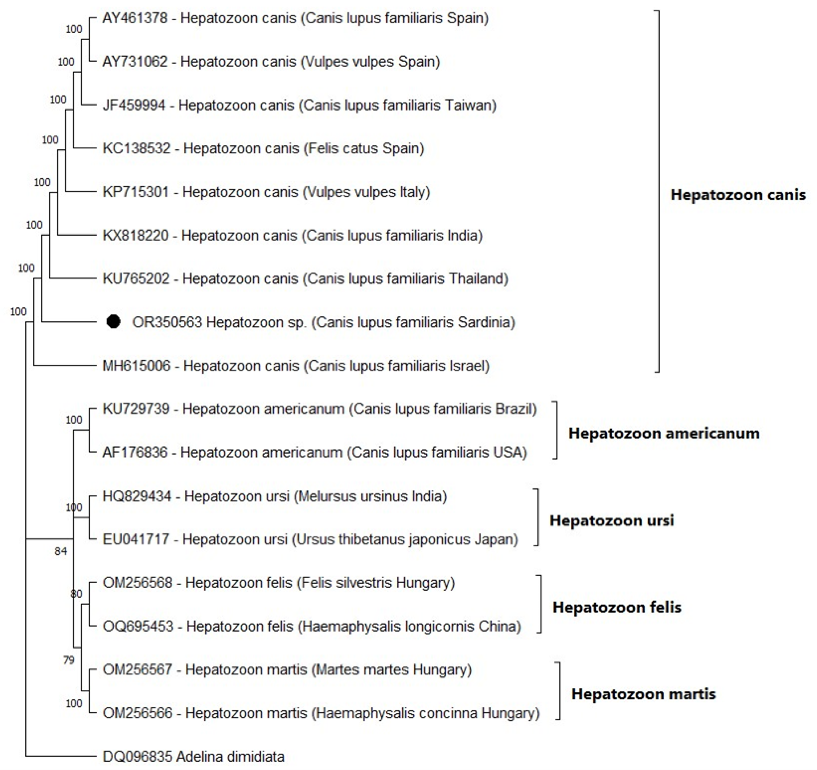 Vetsci 10 00640 g003