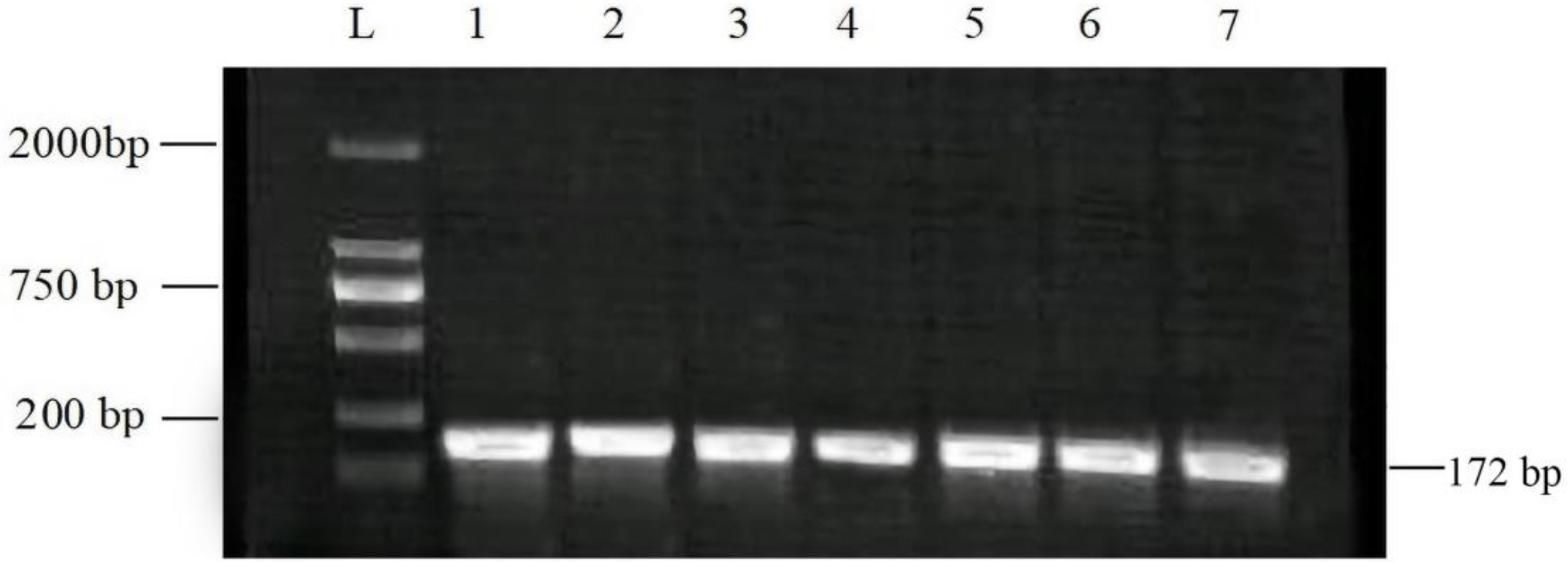 Vetsci 10 00643 g002