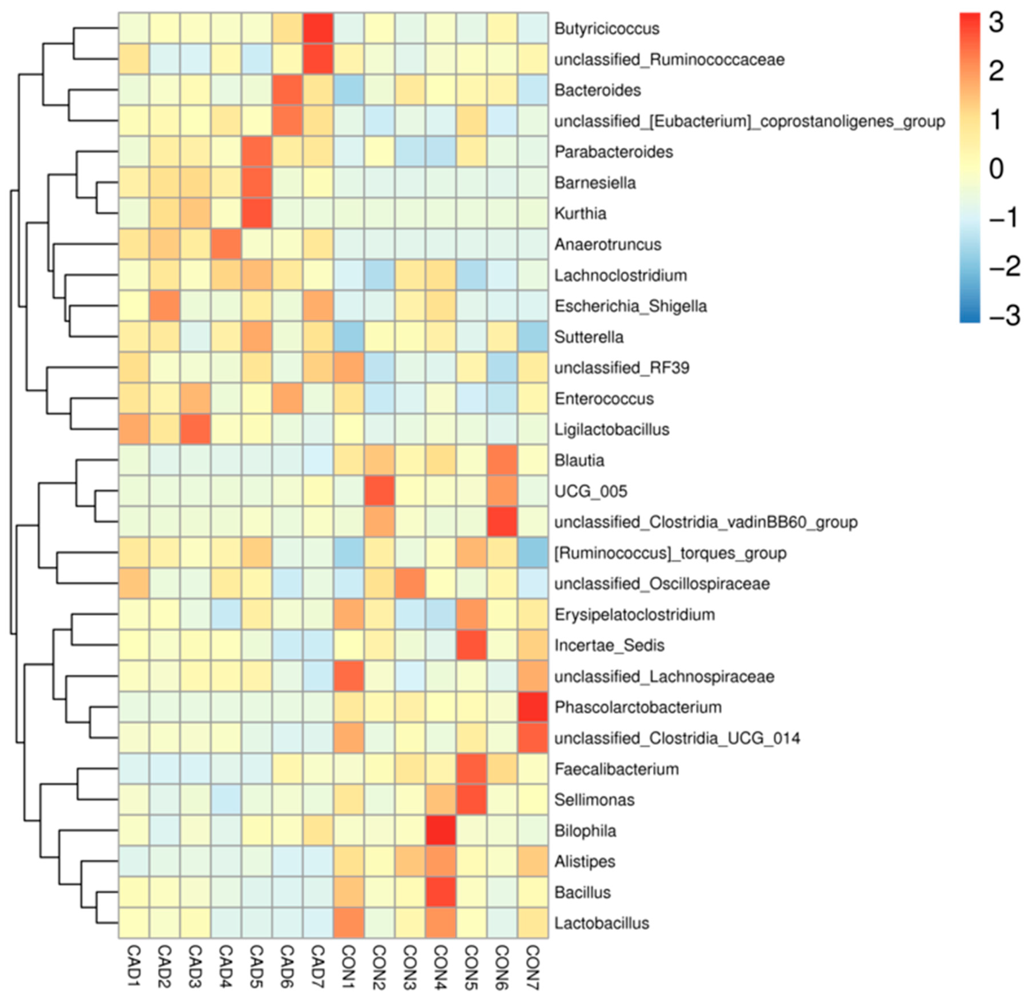 Vetsci 10 00649 g004