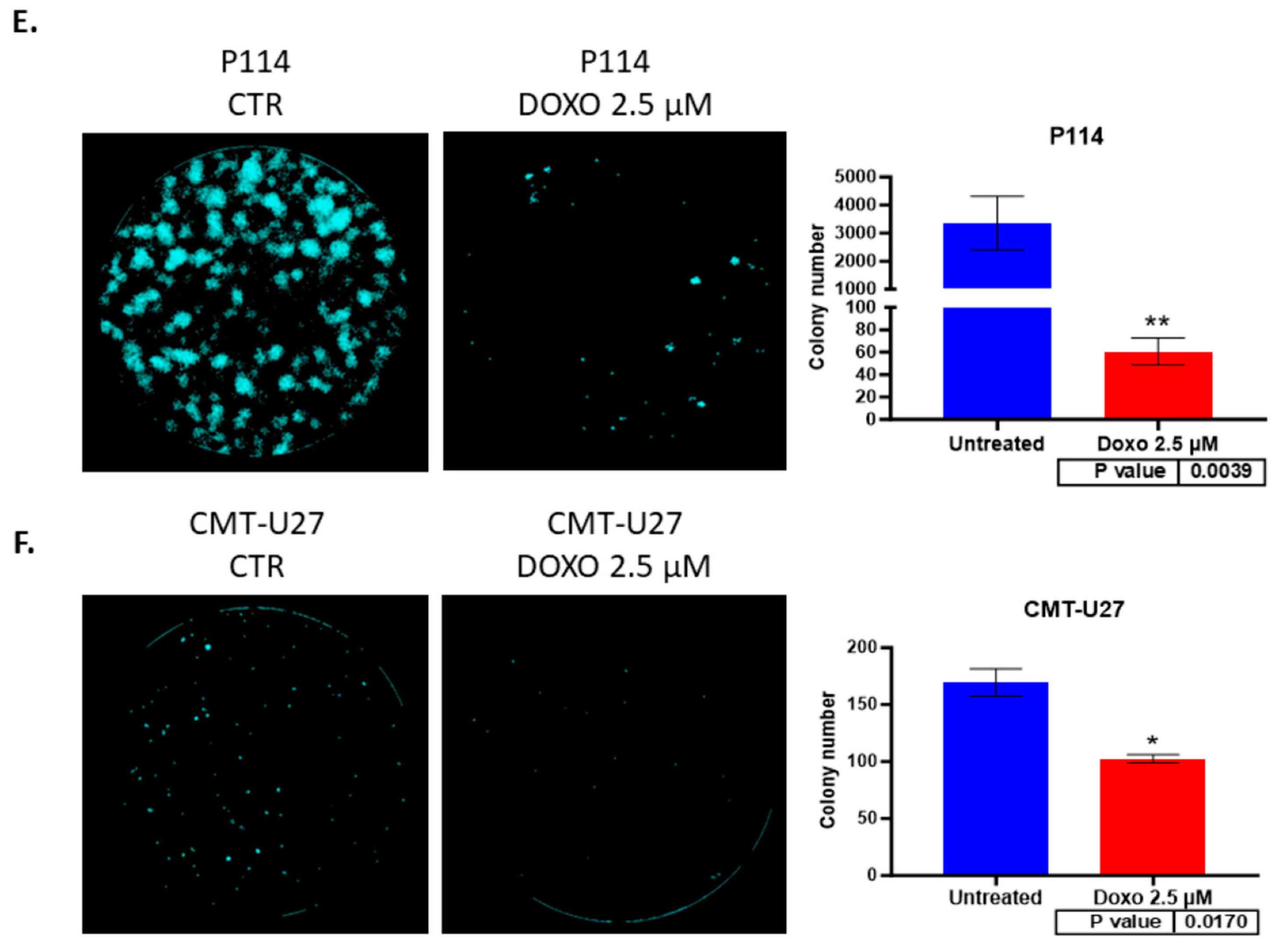 Vetsci 10 00654 g002b
