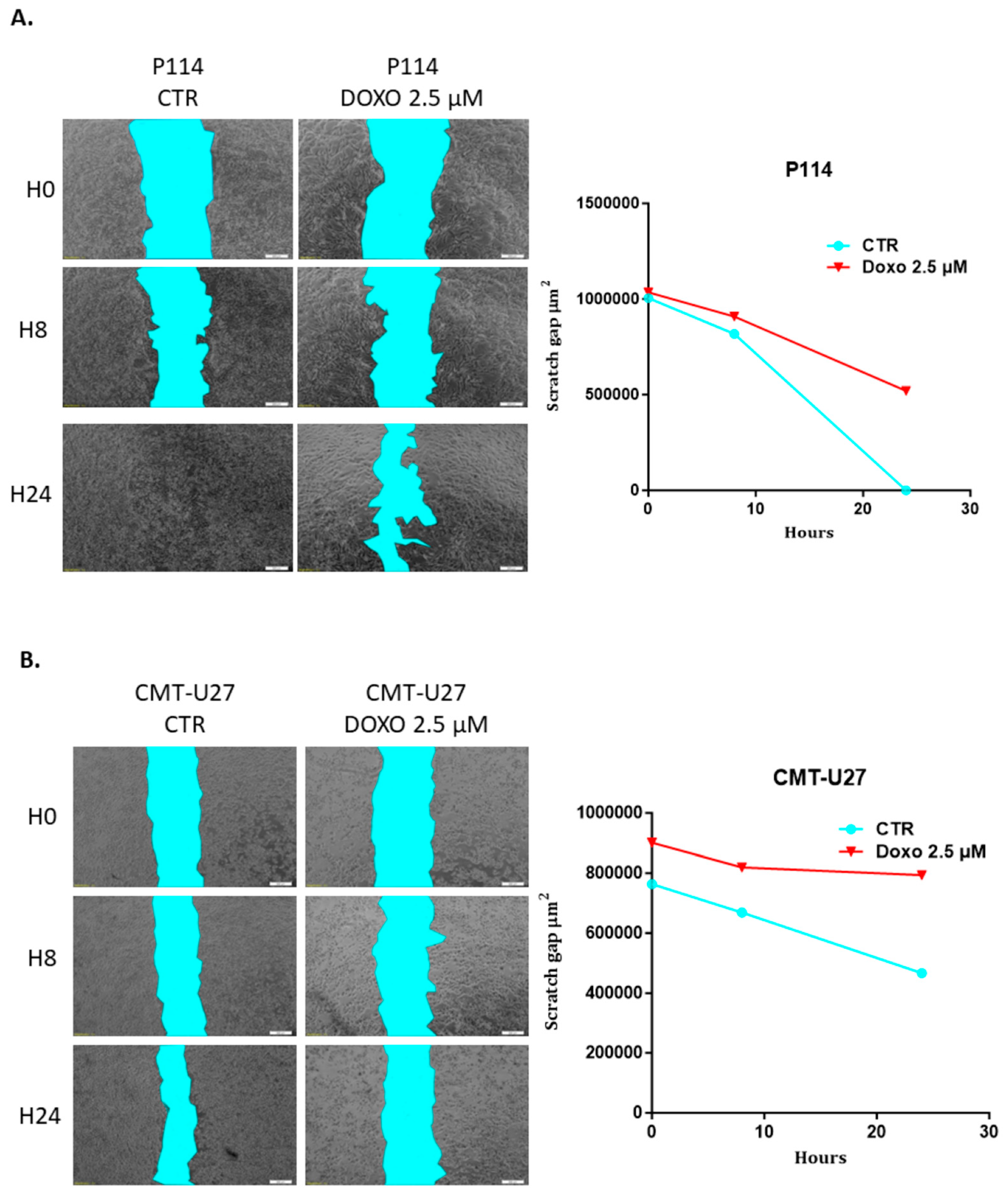 Vetsci 10 00654 g003a