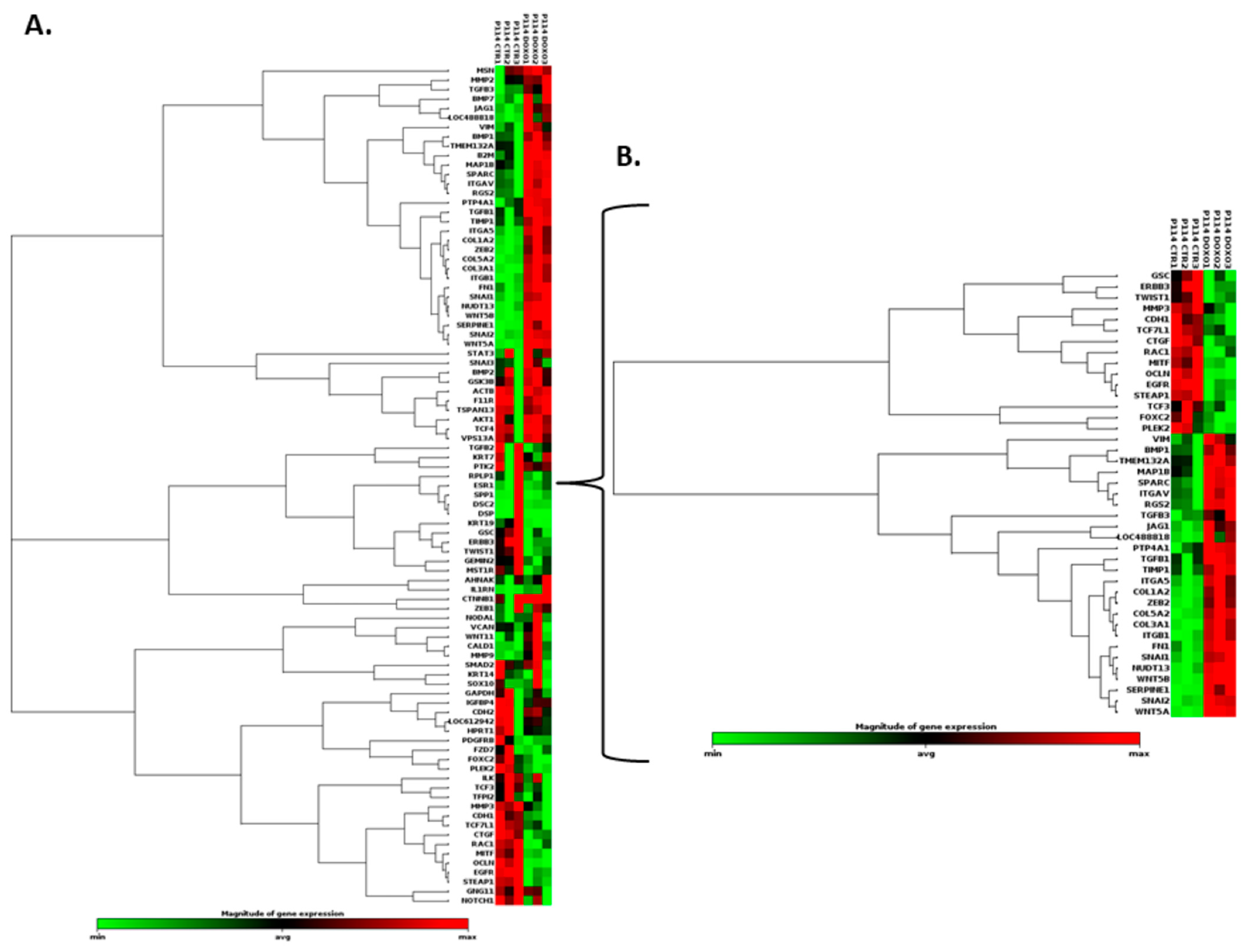 Vetsci 10 00654 g004a