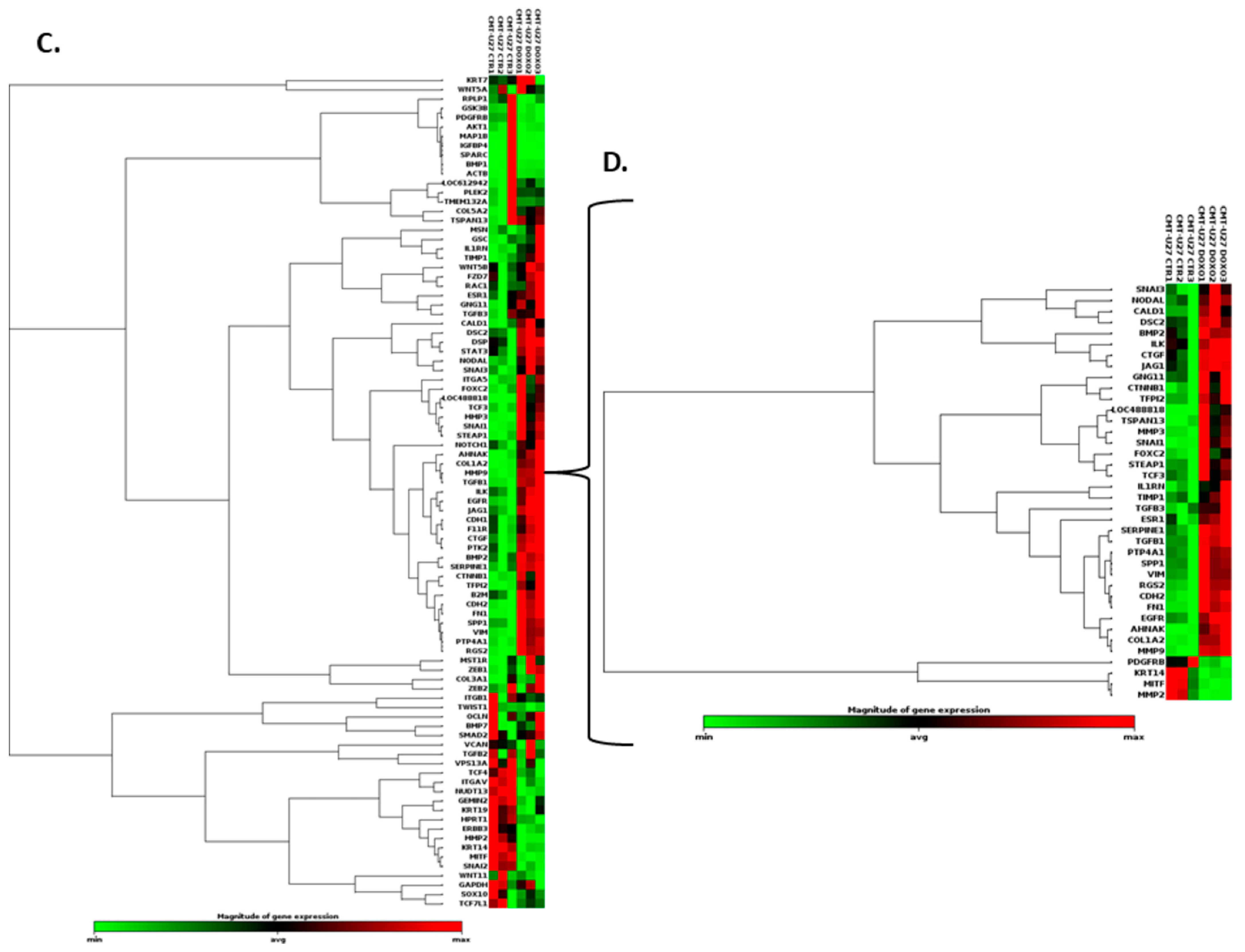 Vetsci 10 00654 g004b