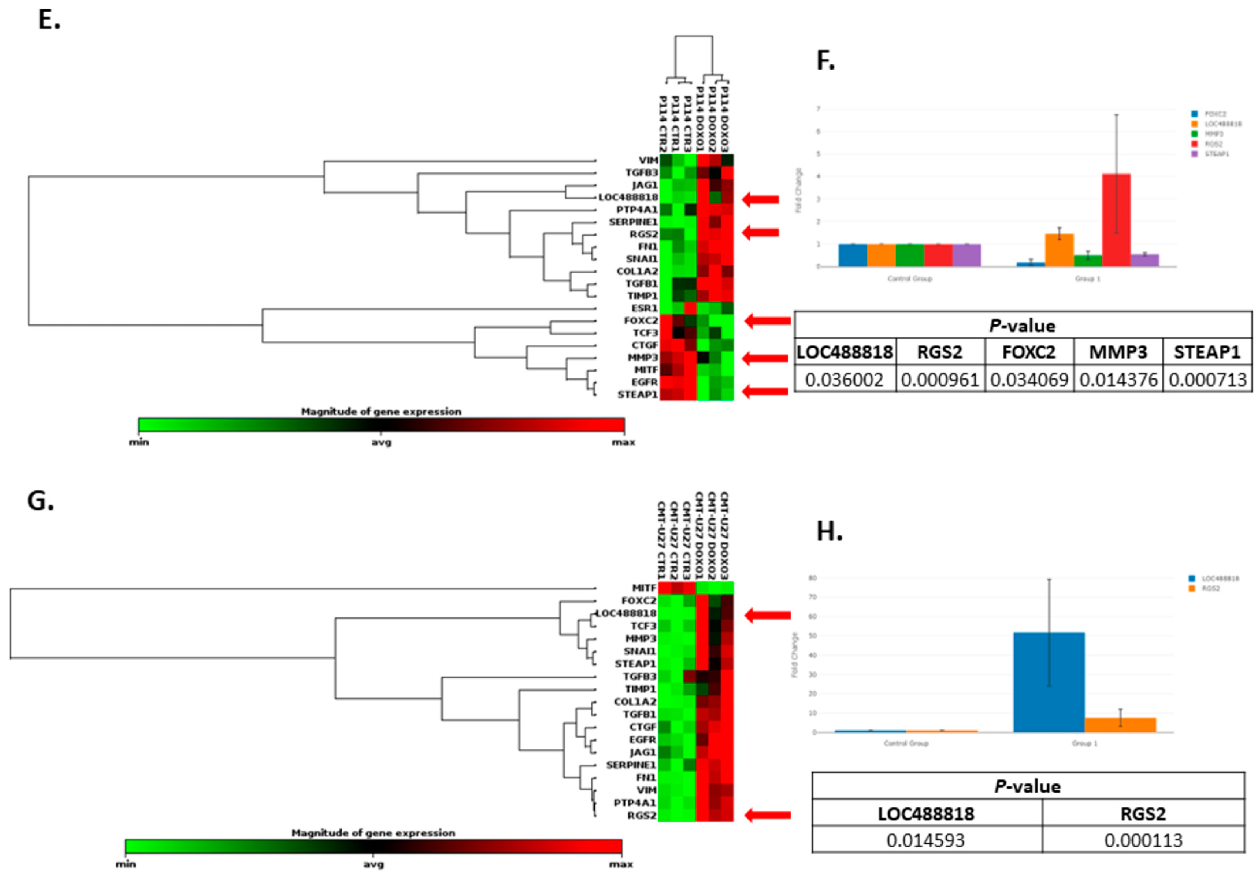 Vetsci 10 00654 g004c