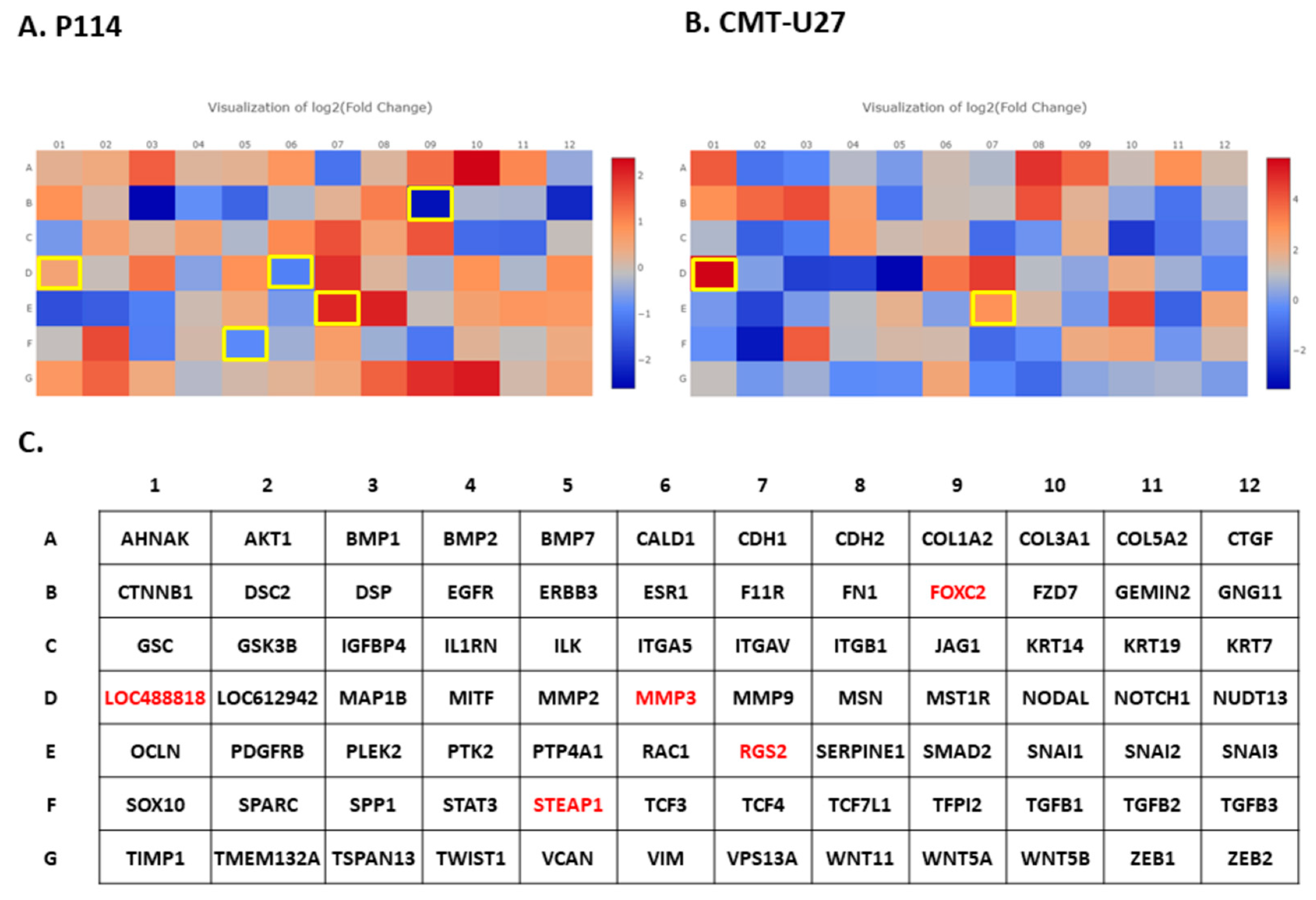 Vetsci 10 00654 g005