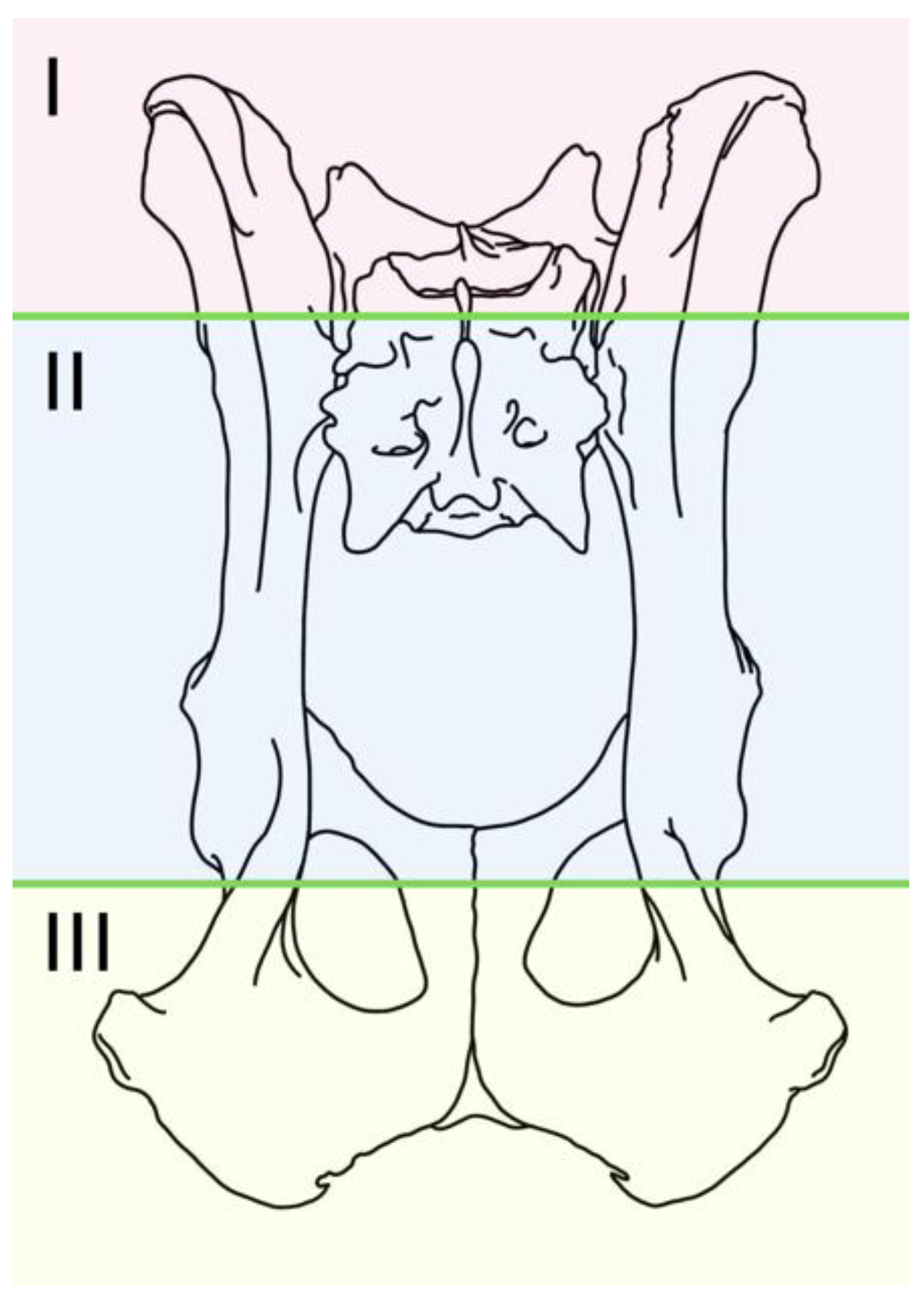 Vetsci 10 00656 g001