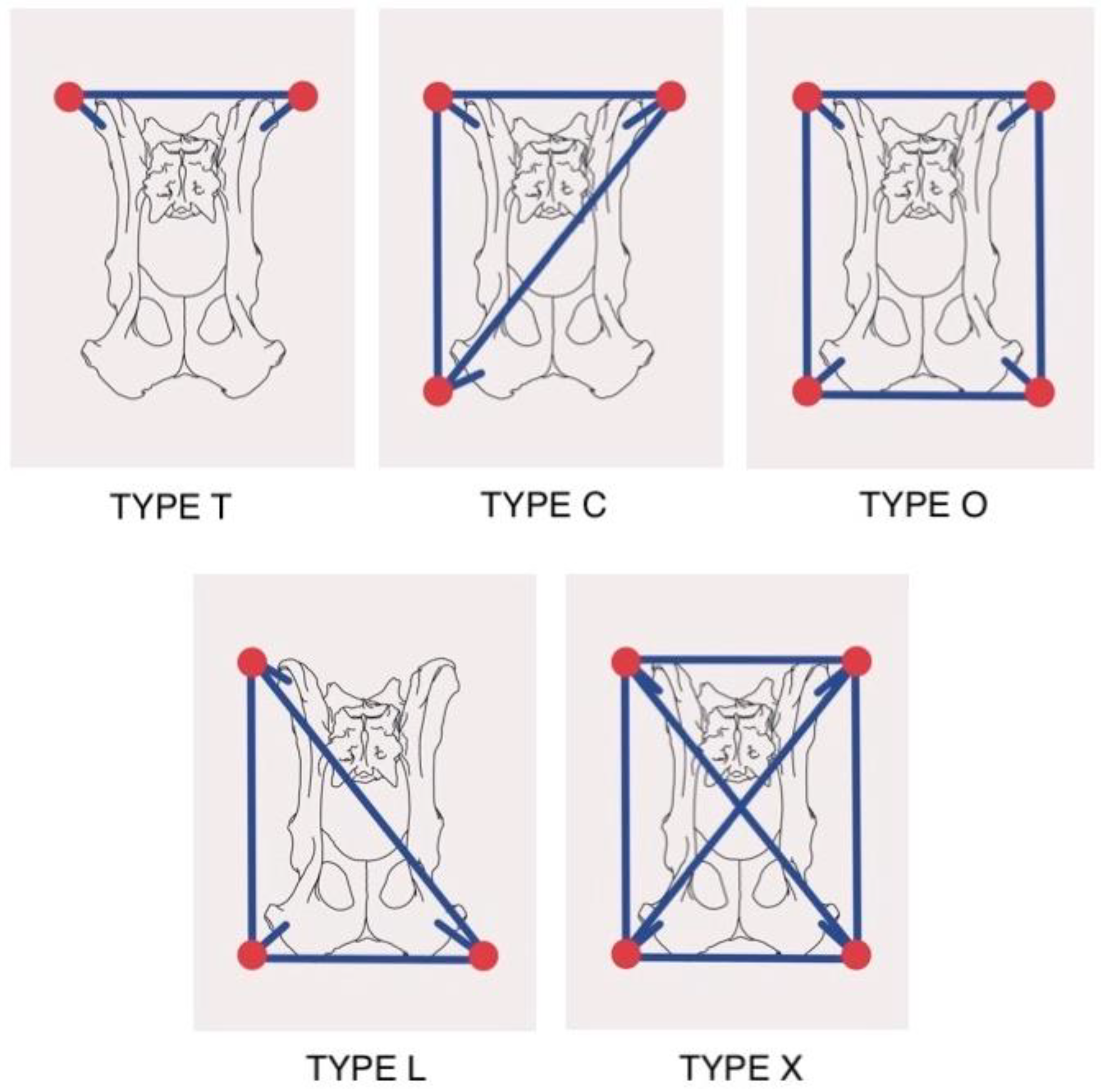 Vetsci 10 00656 g002