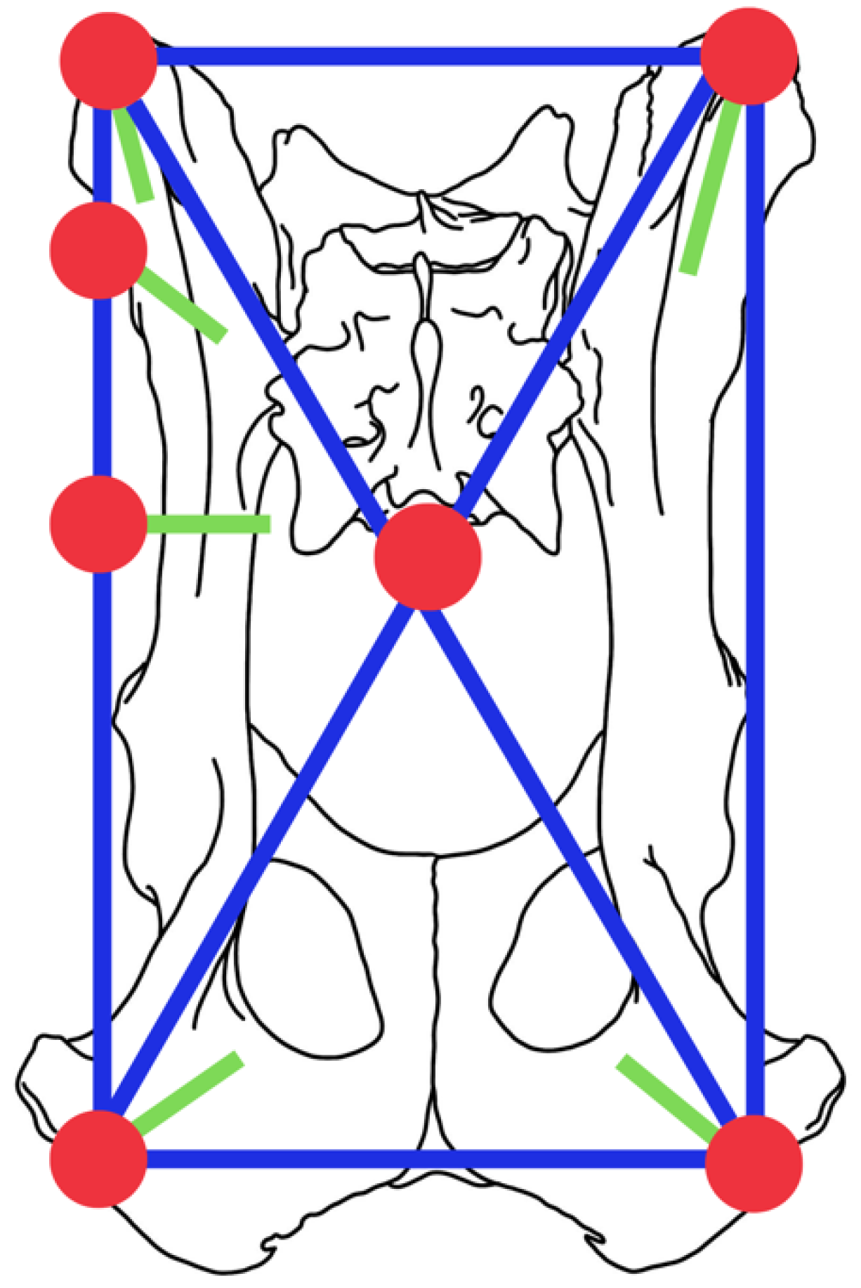 Vetsci 10 00656 g003