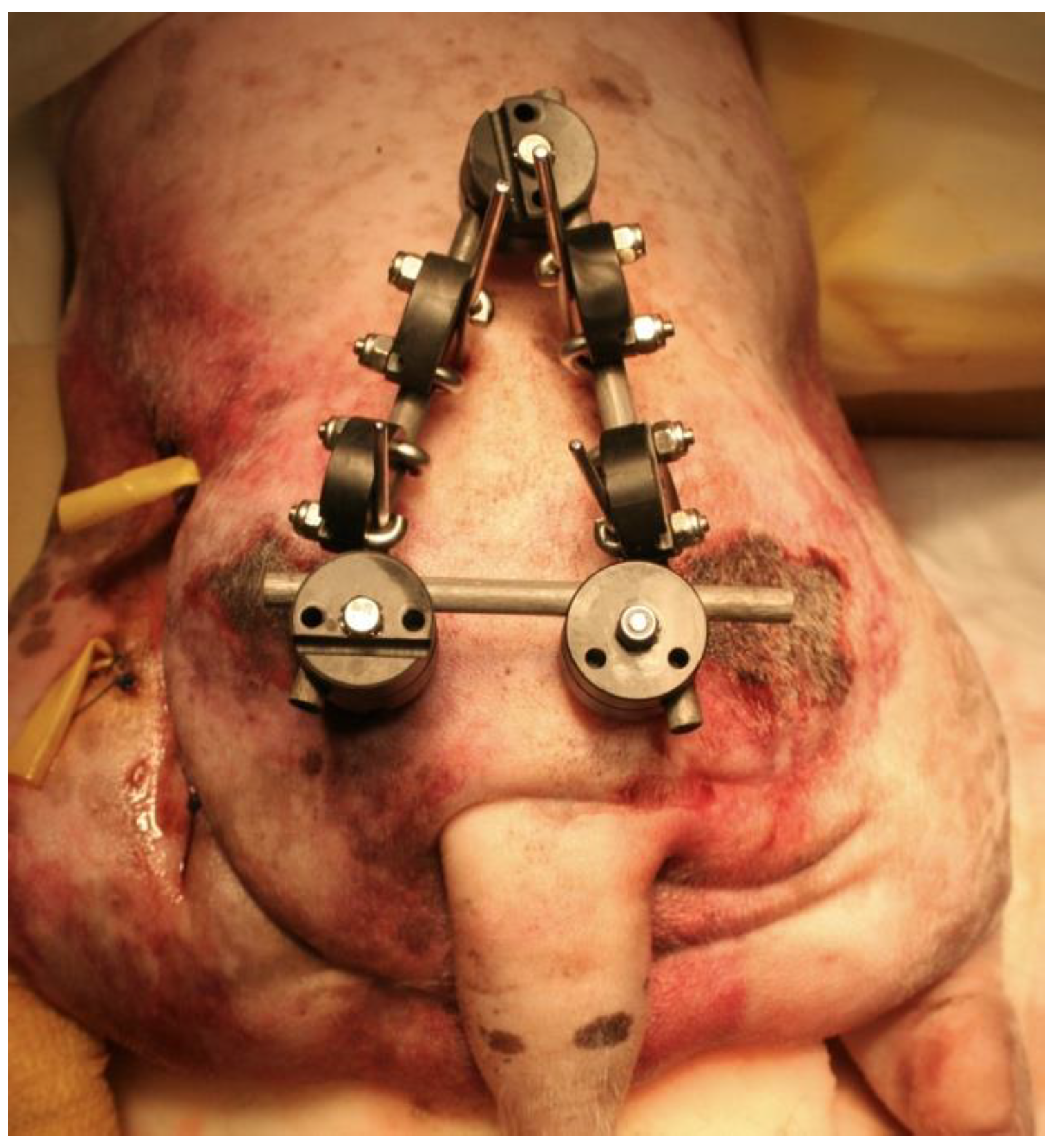 Vetsci 10 00656 g005