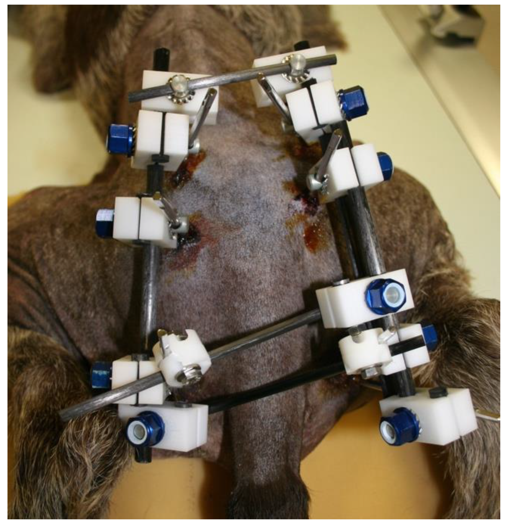 Vetsci 10 00656 g007