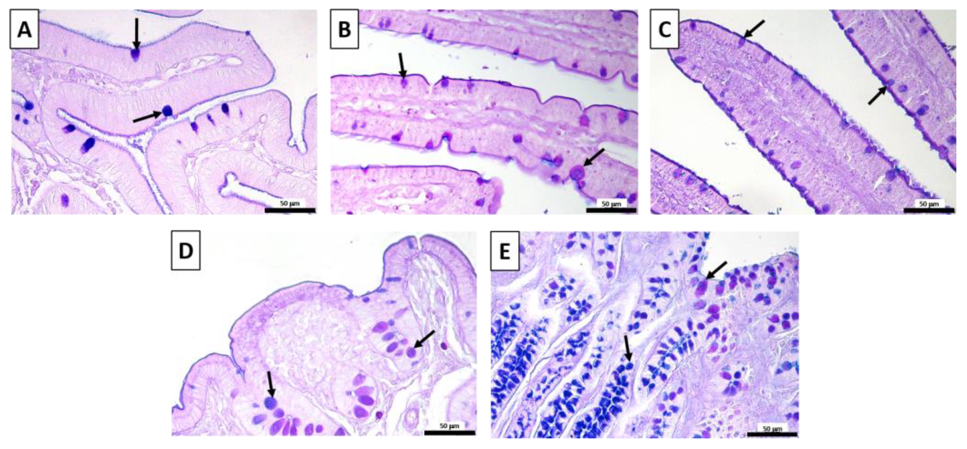 Vetsci 10 00657 g003 Vetsci 10 00657 g003