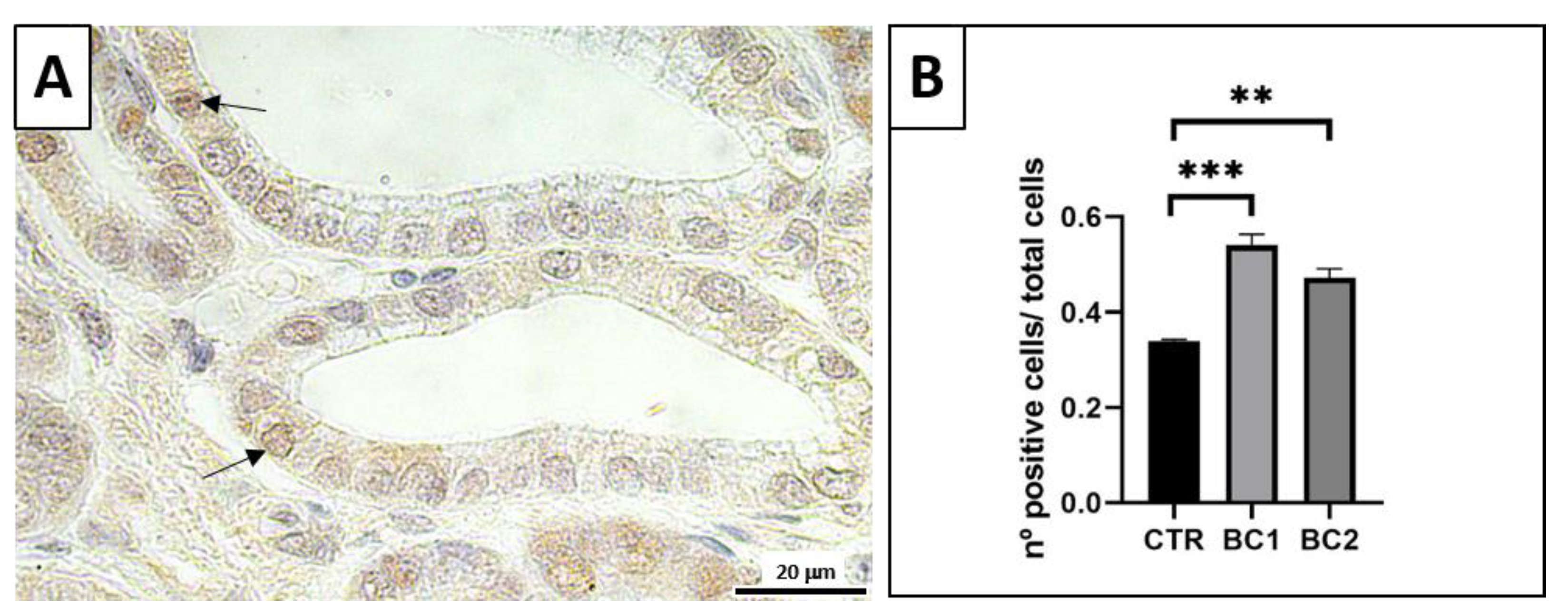 Vetsci 10 00657 g005 Vetsci 10 00657 g005