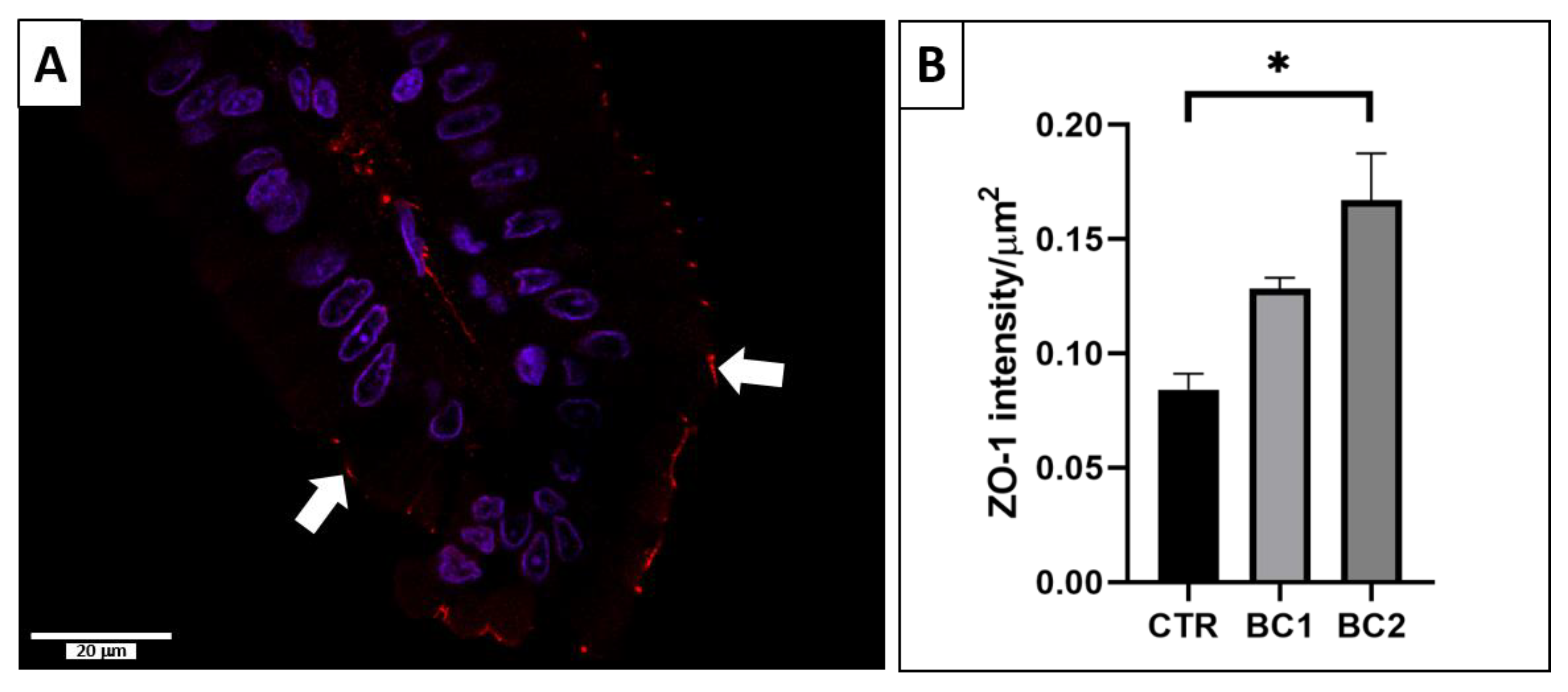 Vetsci 10 00657 g006 Vetsci 10 00657 g006