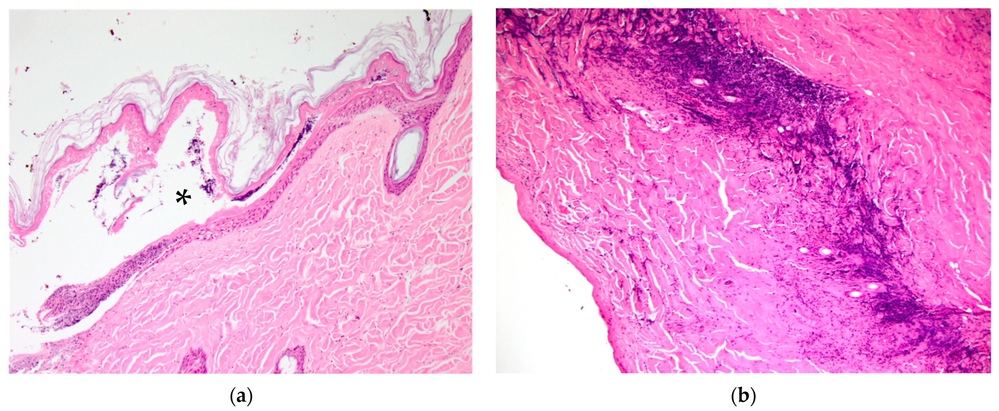 Vetsci 10 00658 g003