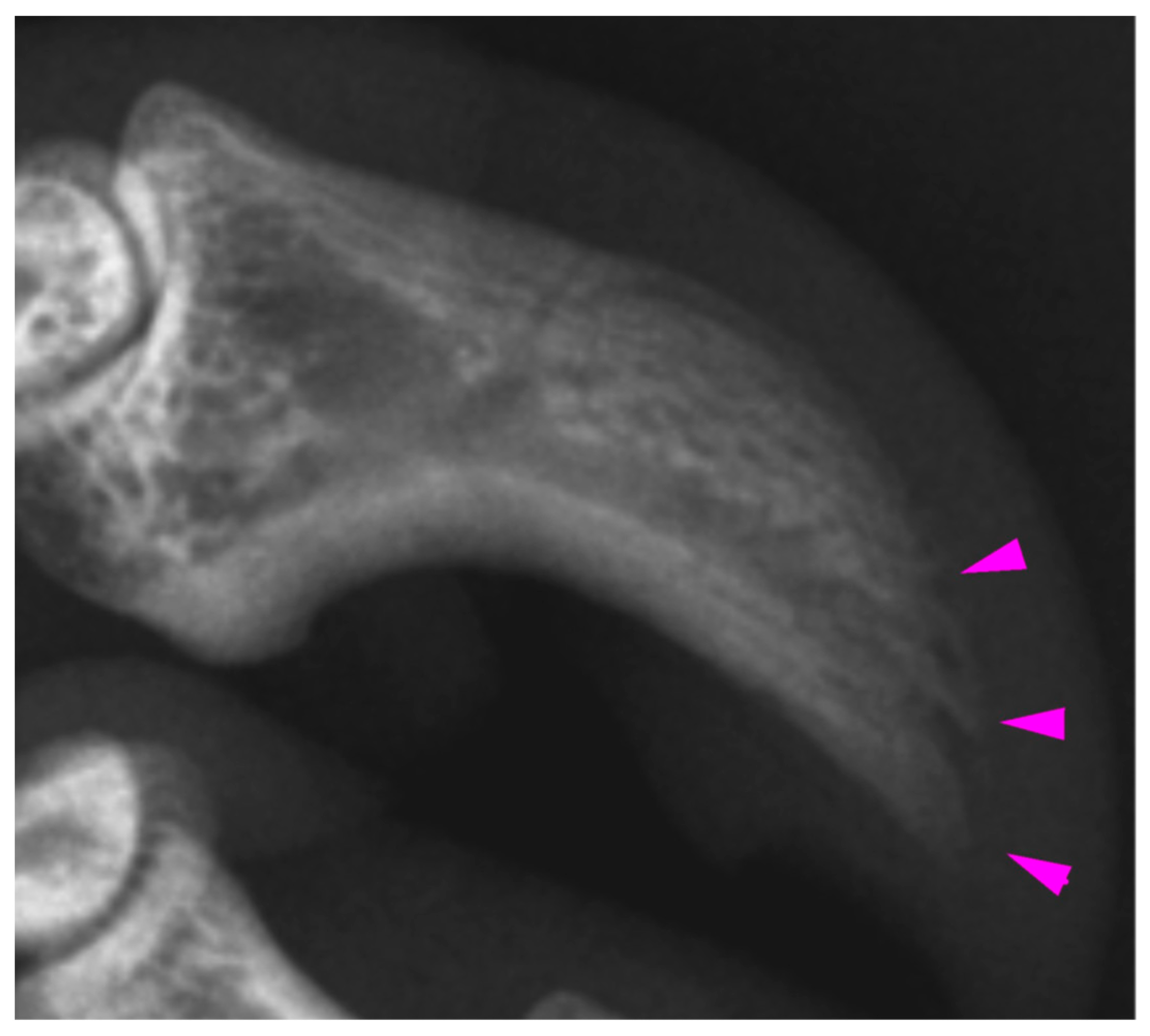 Vetsci 10 00658 g005