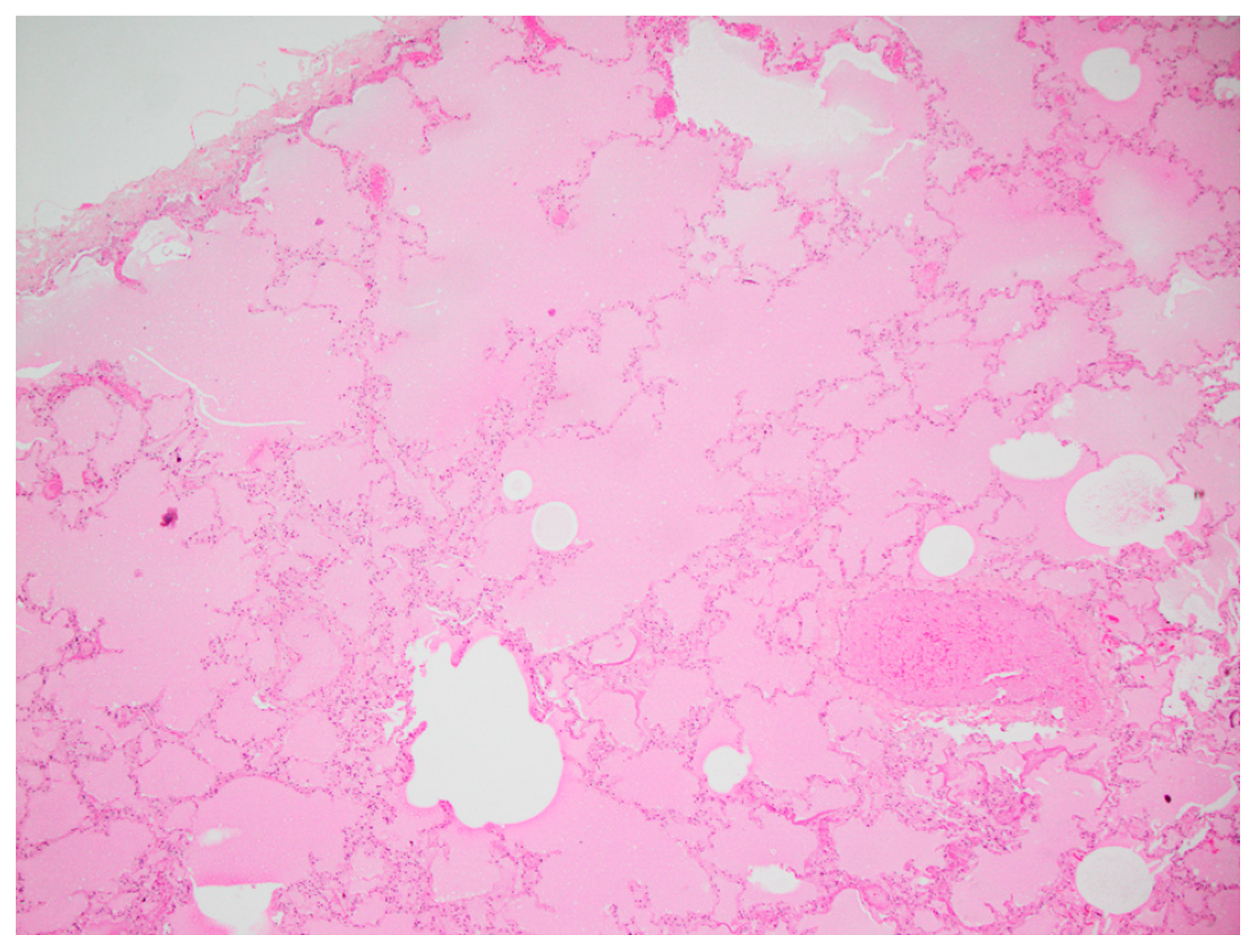 Vetsci 10 00658 g006