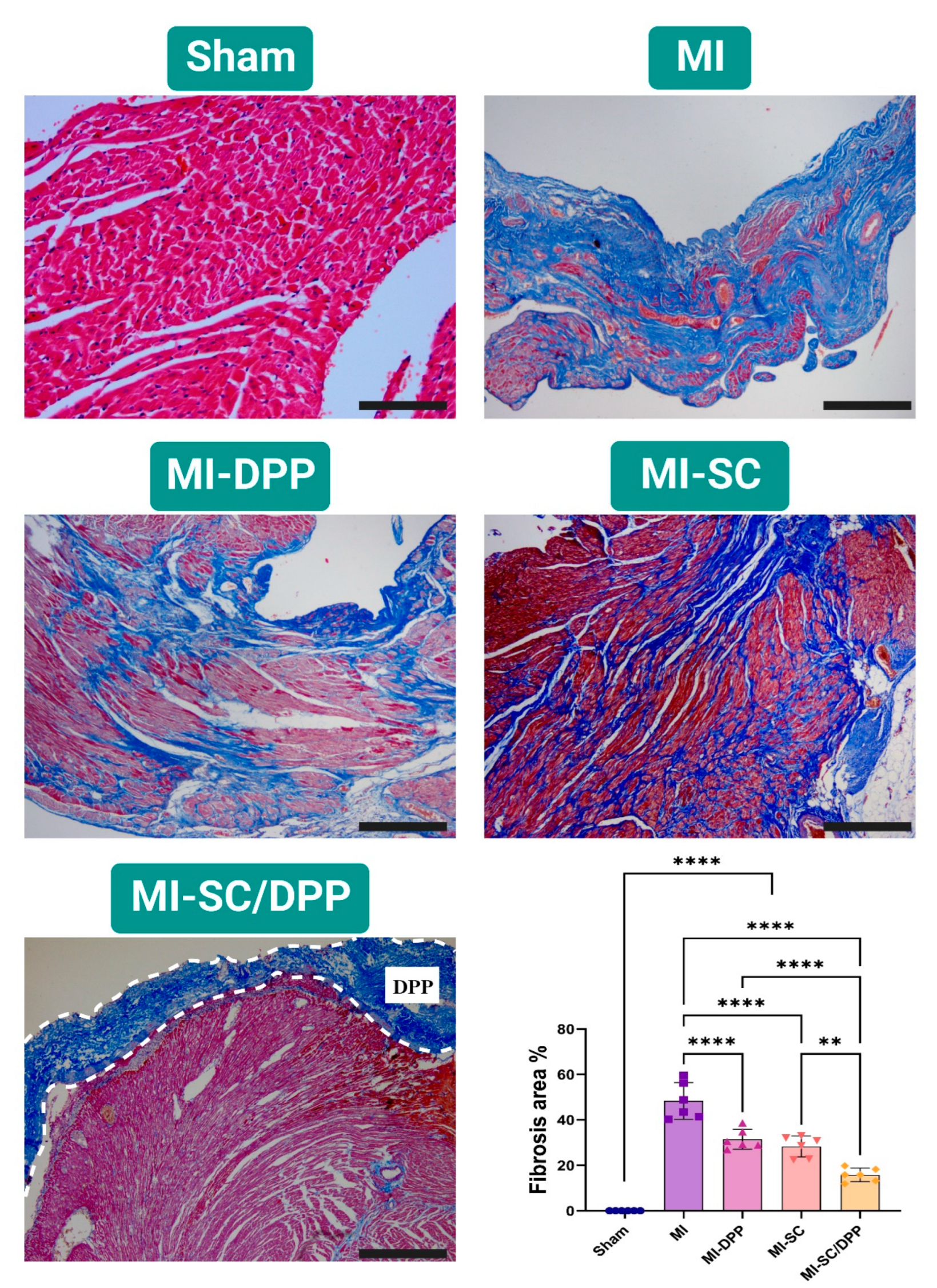 Vetsci 10 00660 g007