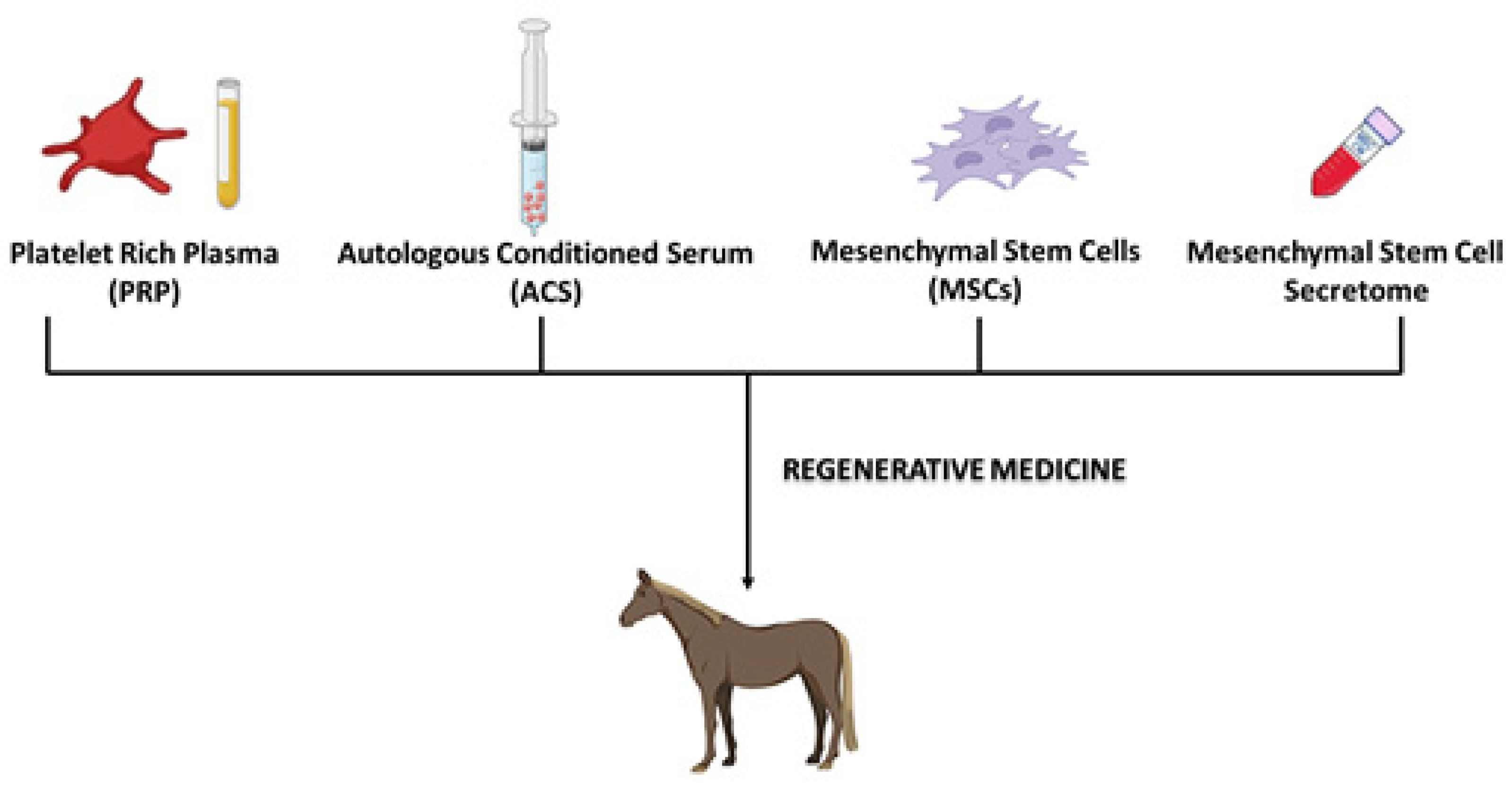 Vetsci 10 00666 g001