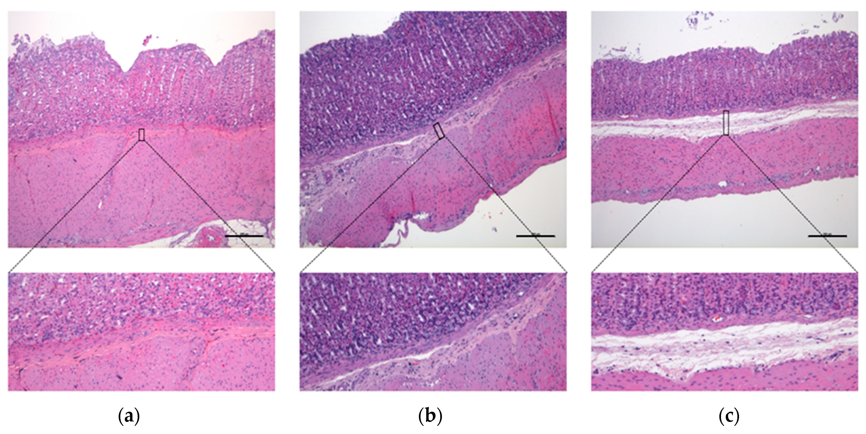 Vetsci 10 00667 g004