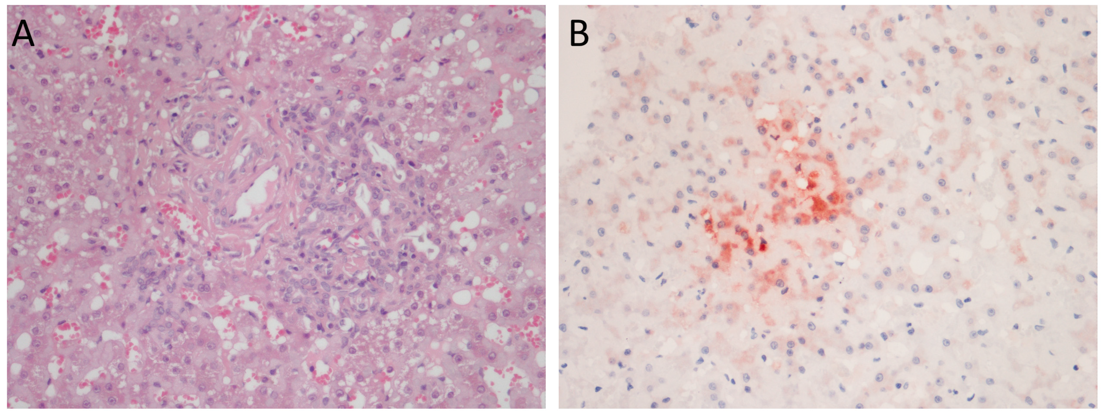 Vetsci 10 00668 g002