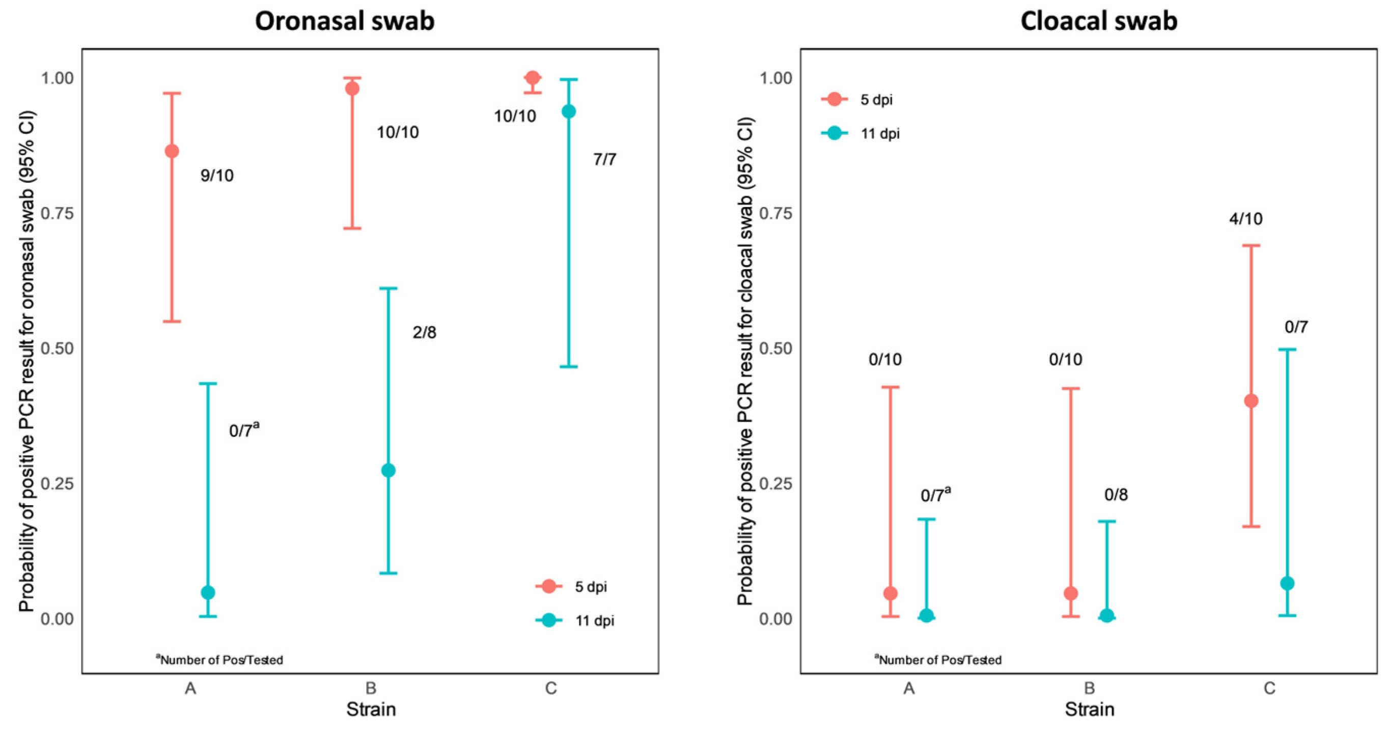 Vetsci 10 00671 g007 Vetsci 10 00671 g007