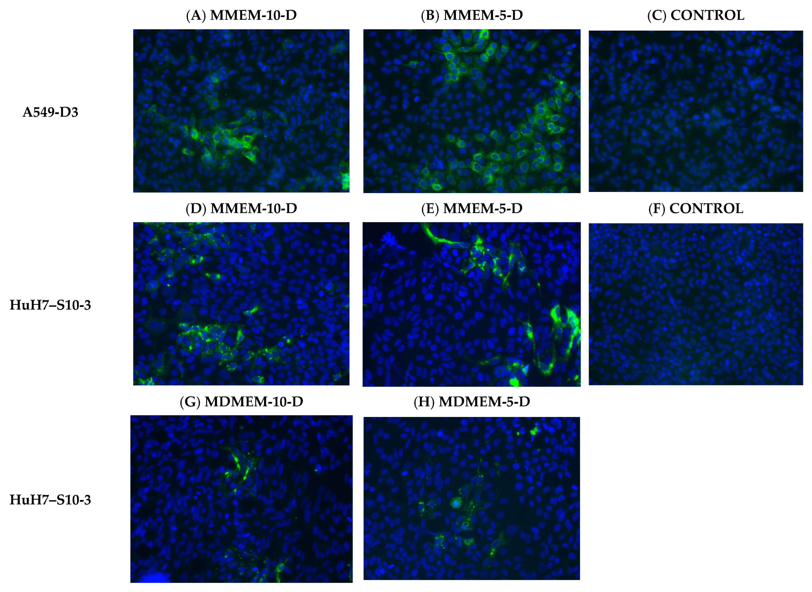 Vetsci 10 00676 g004a