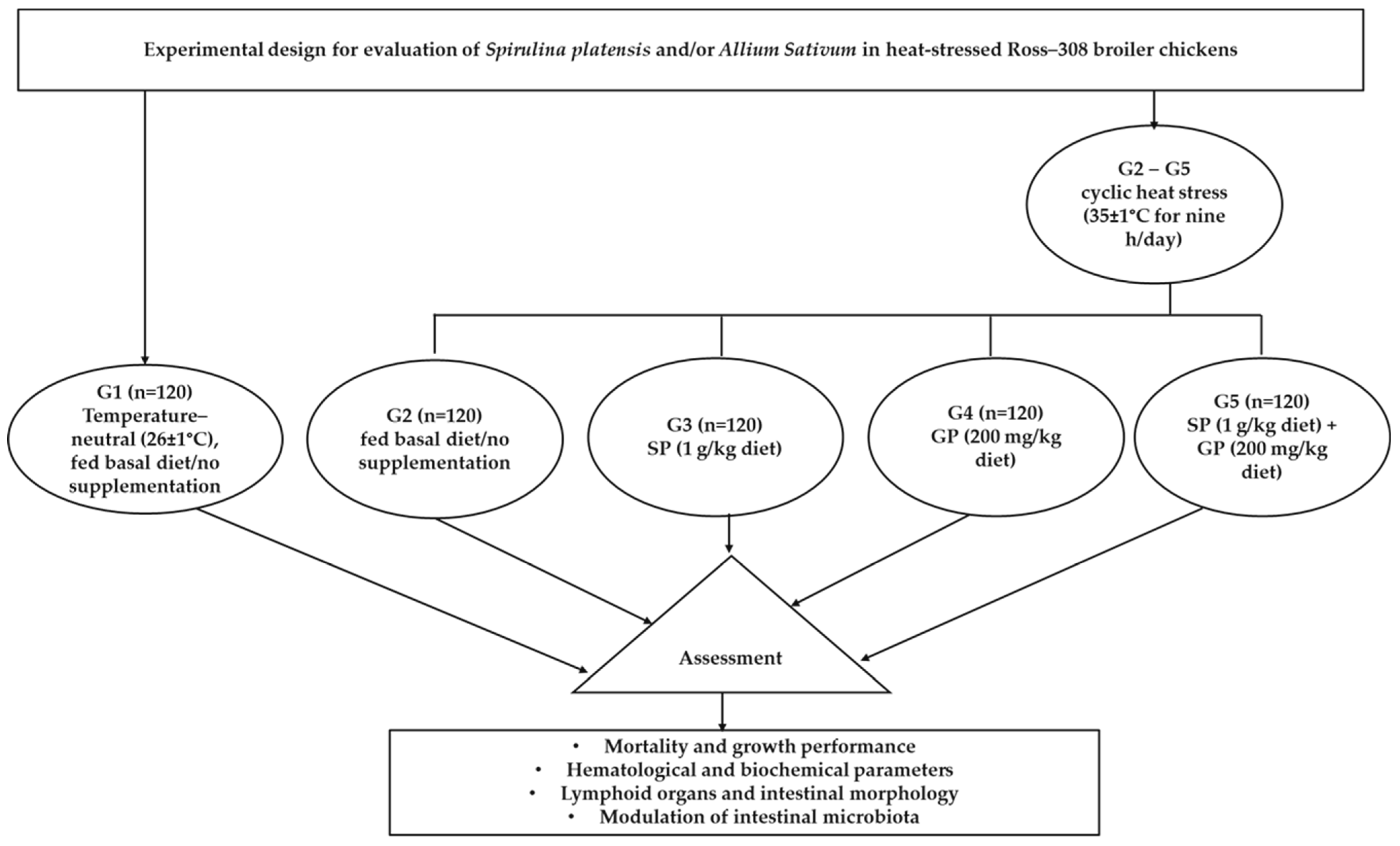 Vetsci 10 00678 g001 Vetsci 10 00678 g001