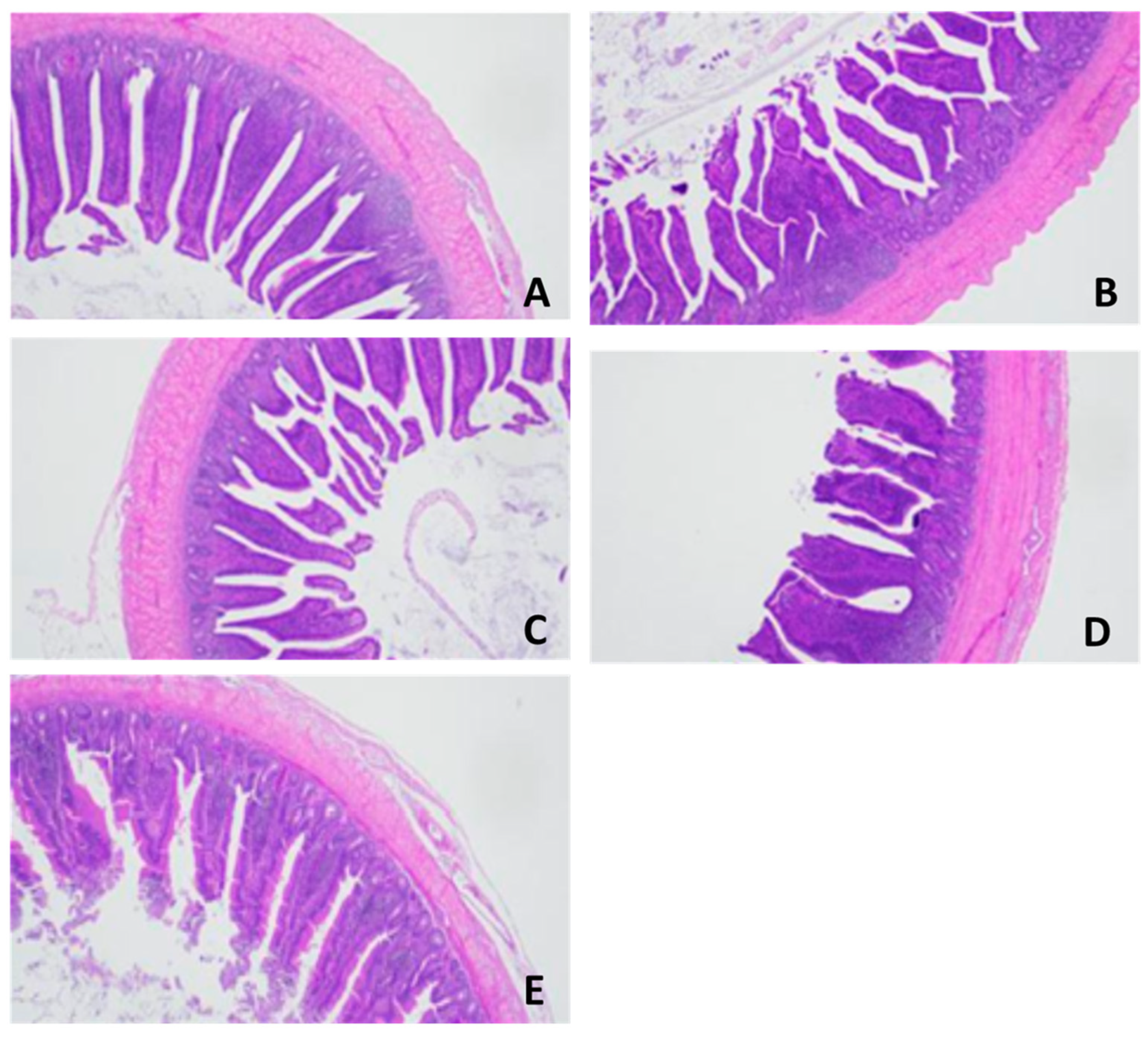Vetsci 10 00678 g002 Vetsci 10 00678 g002