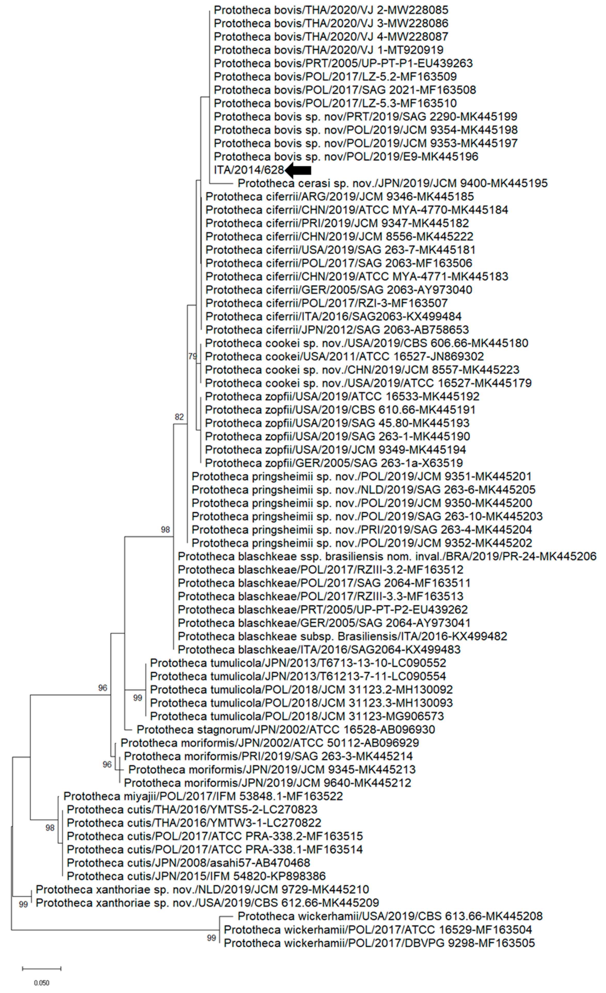 Vetsci 10 00681 g001