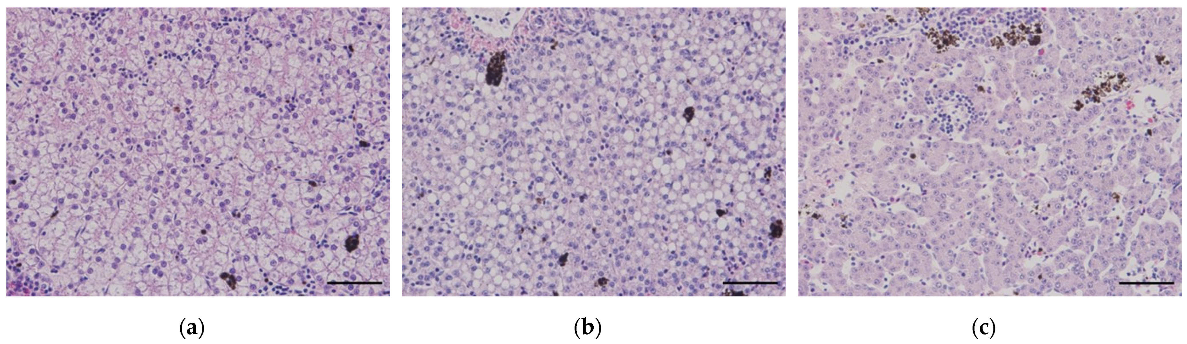 Vetsci 10 00682 g002