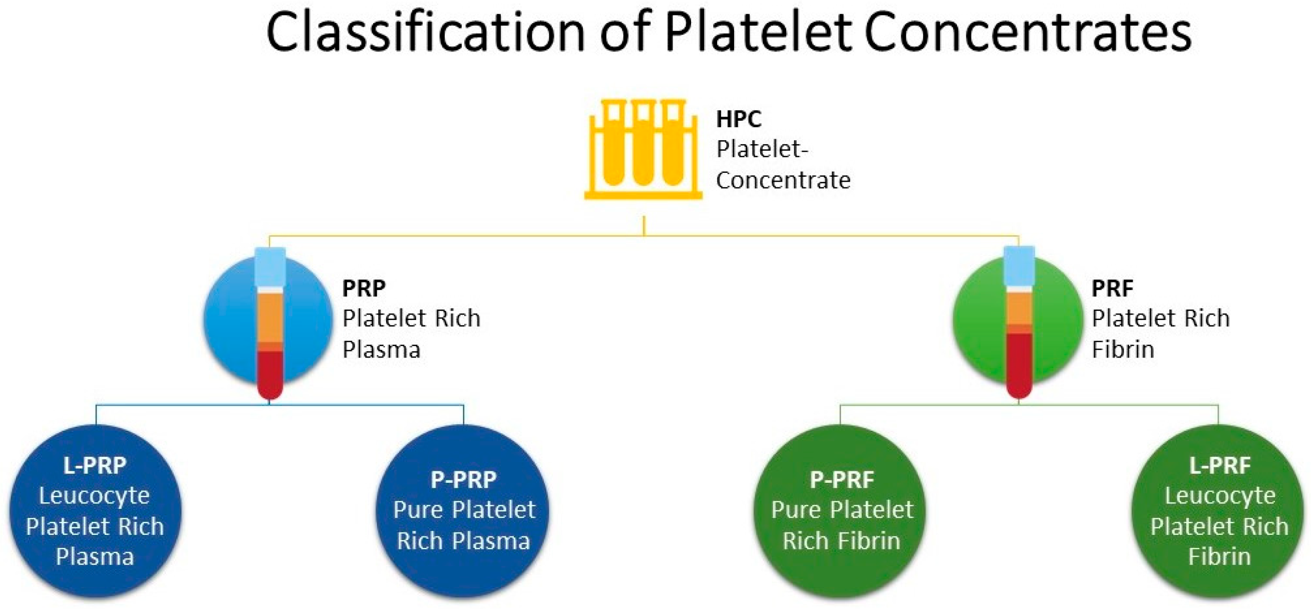 Vetsci 10 00686 g001