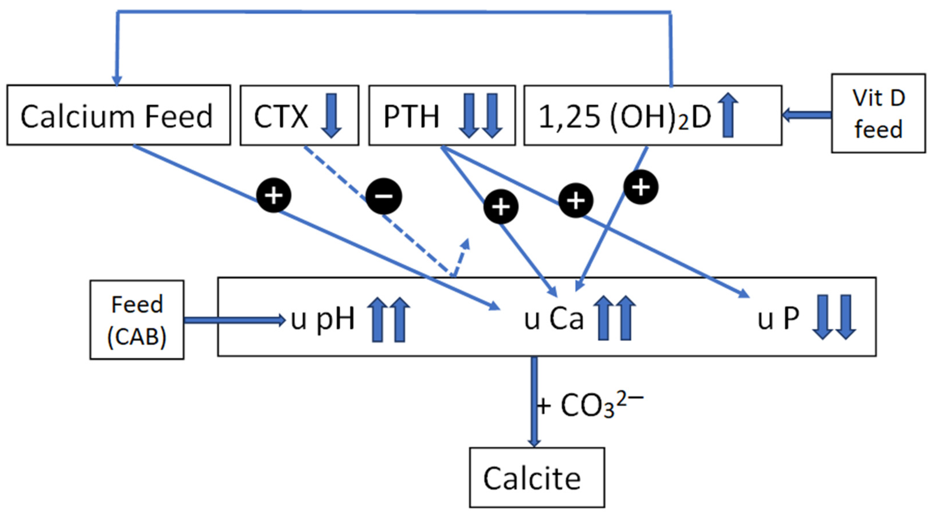 Vetsci 10 00688 g001