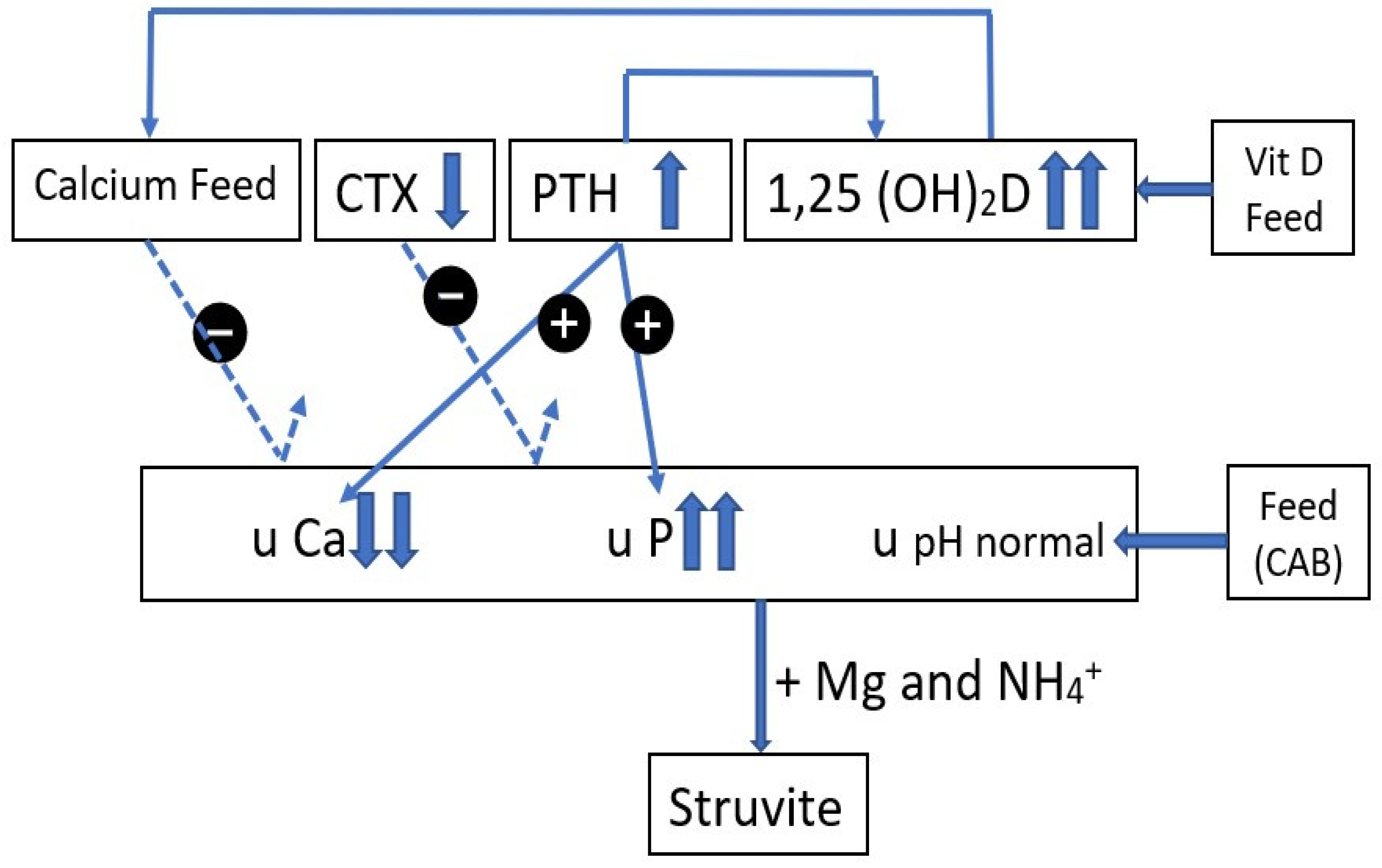 Vetsci 10 00688 g002