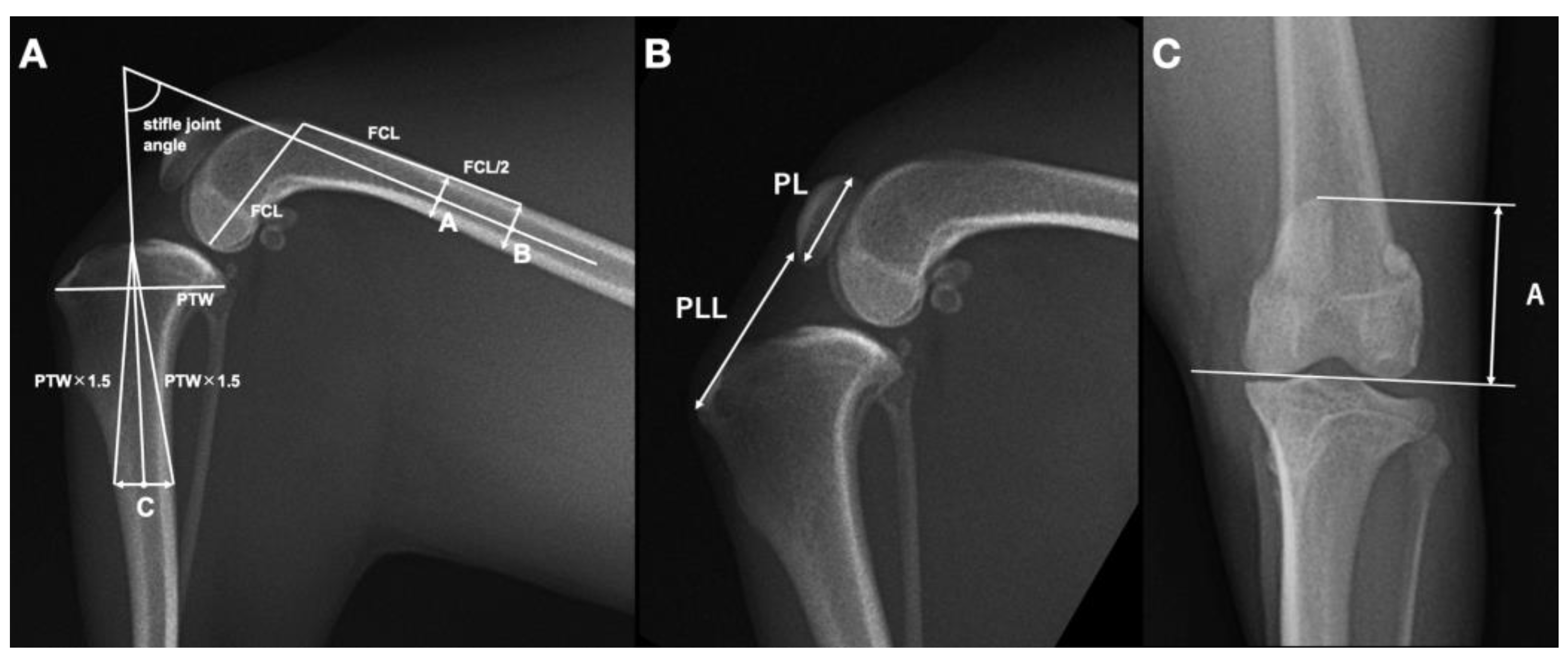 Vetsci 10 00692 g001