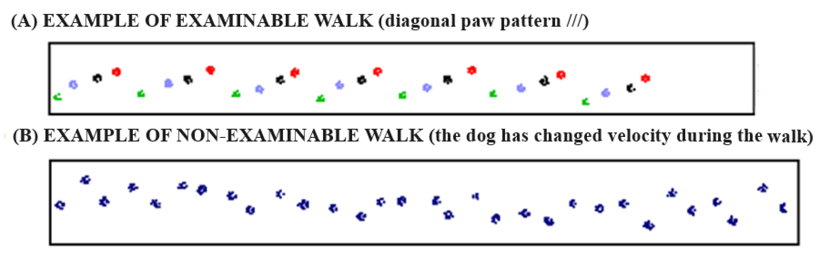 Vetsci 10 00696 g003 Vetsci 10 00696 g003