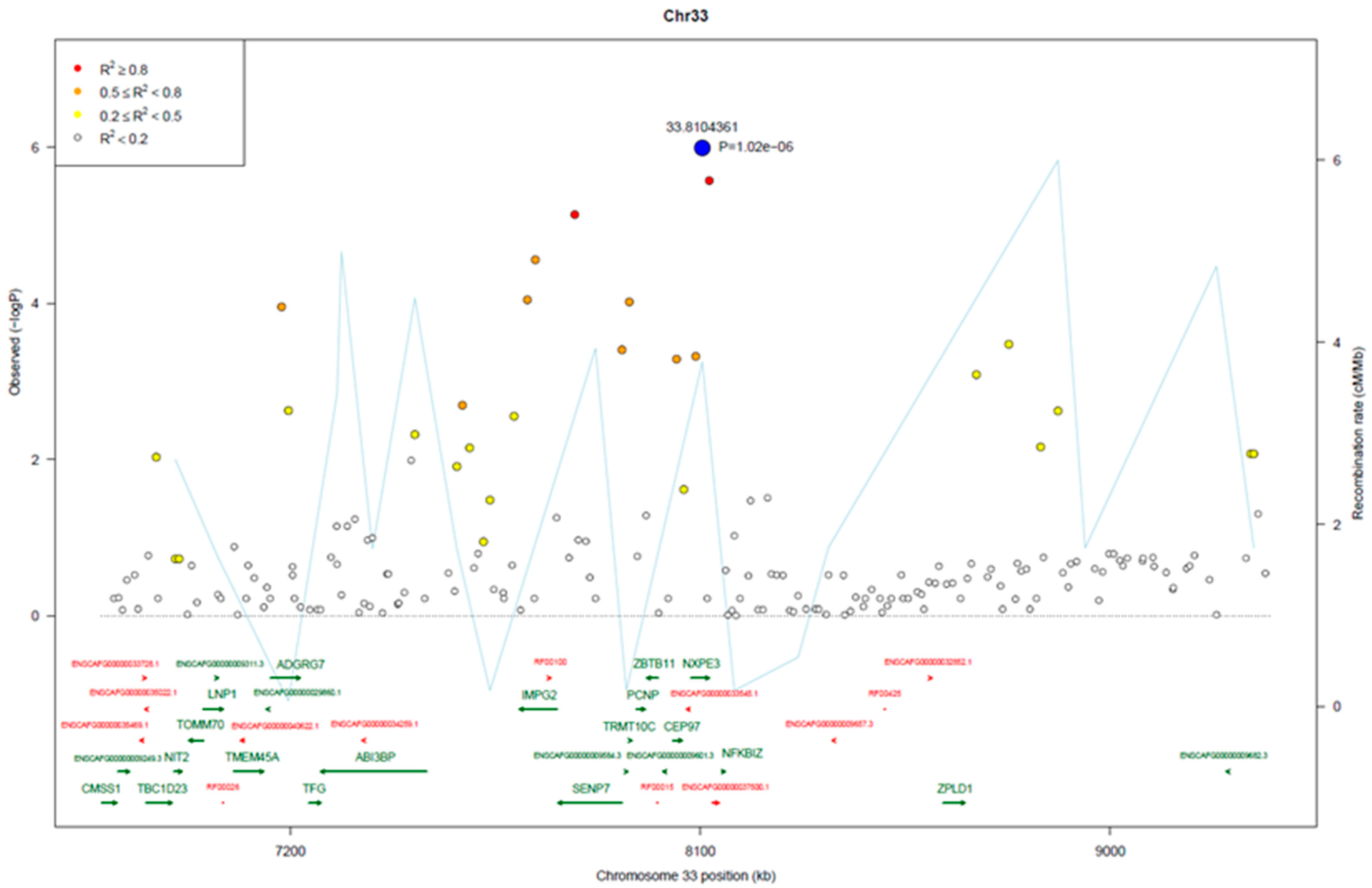Vetsci 10 00703 g006
