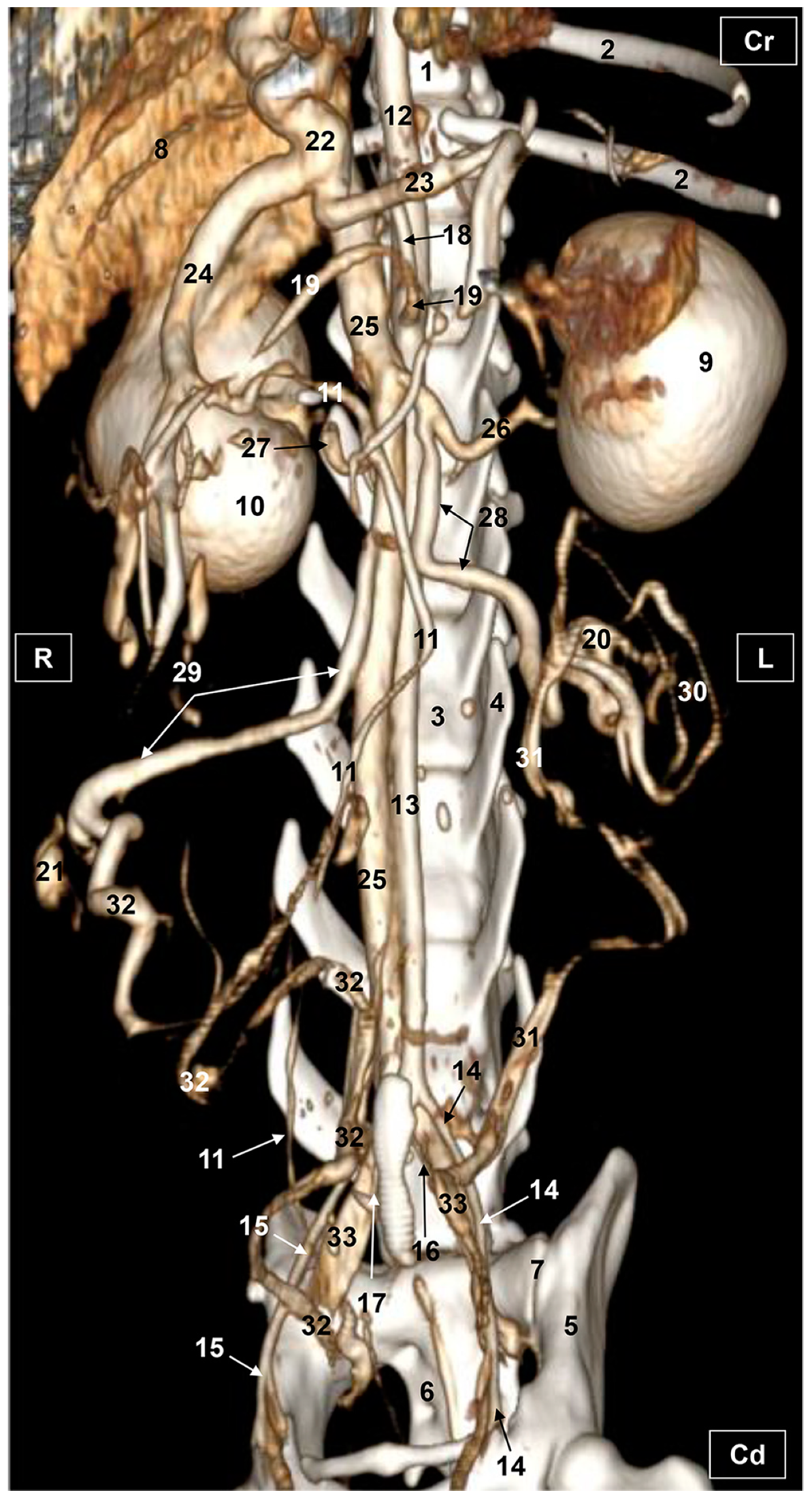 Vetsci 10 00704 g005