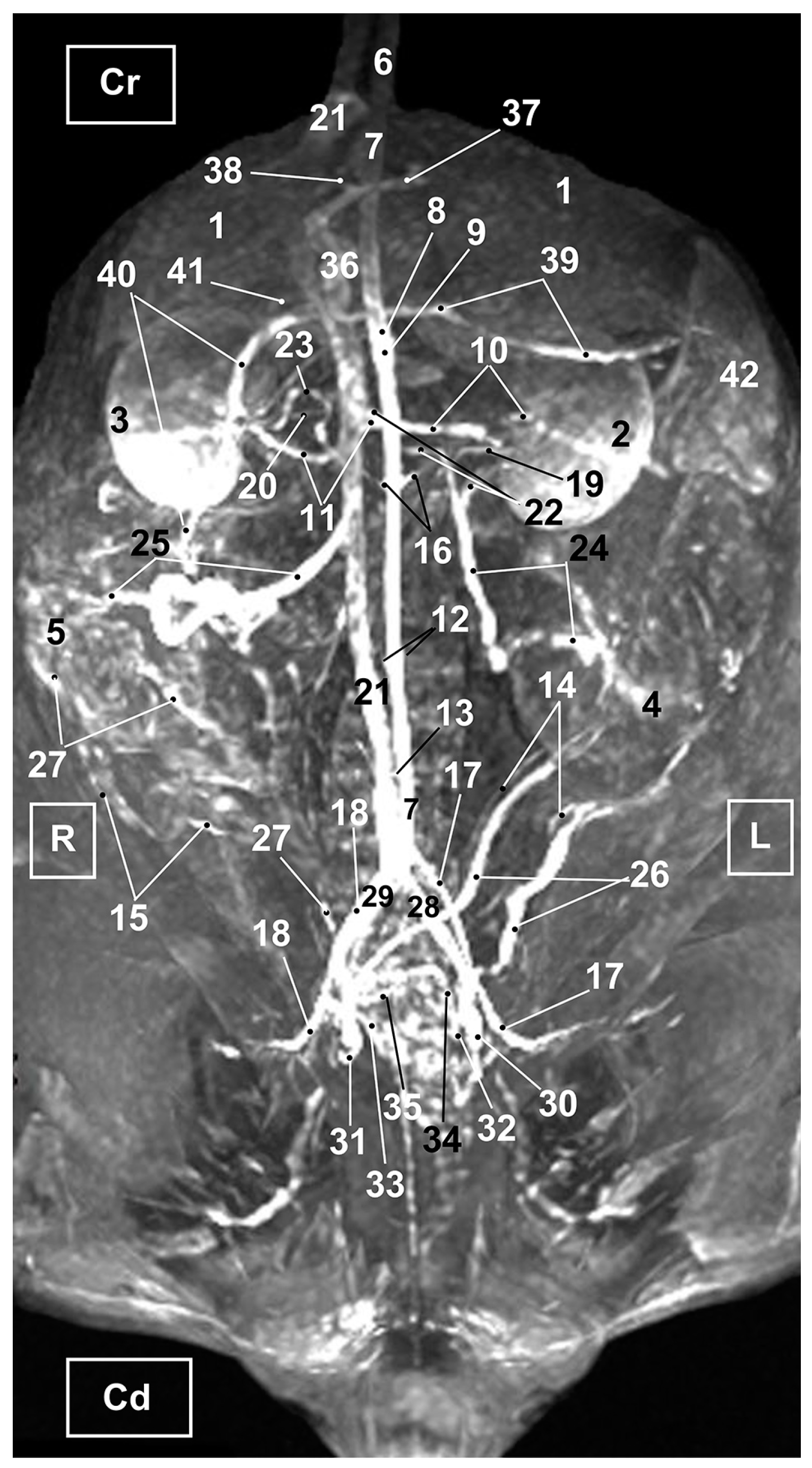 Vetsci 10 00704 g009