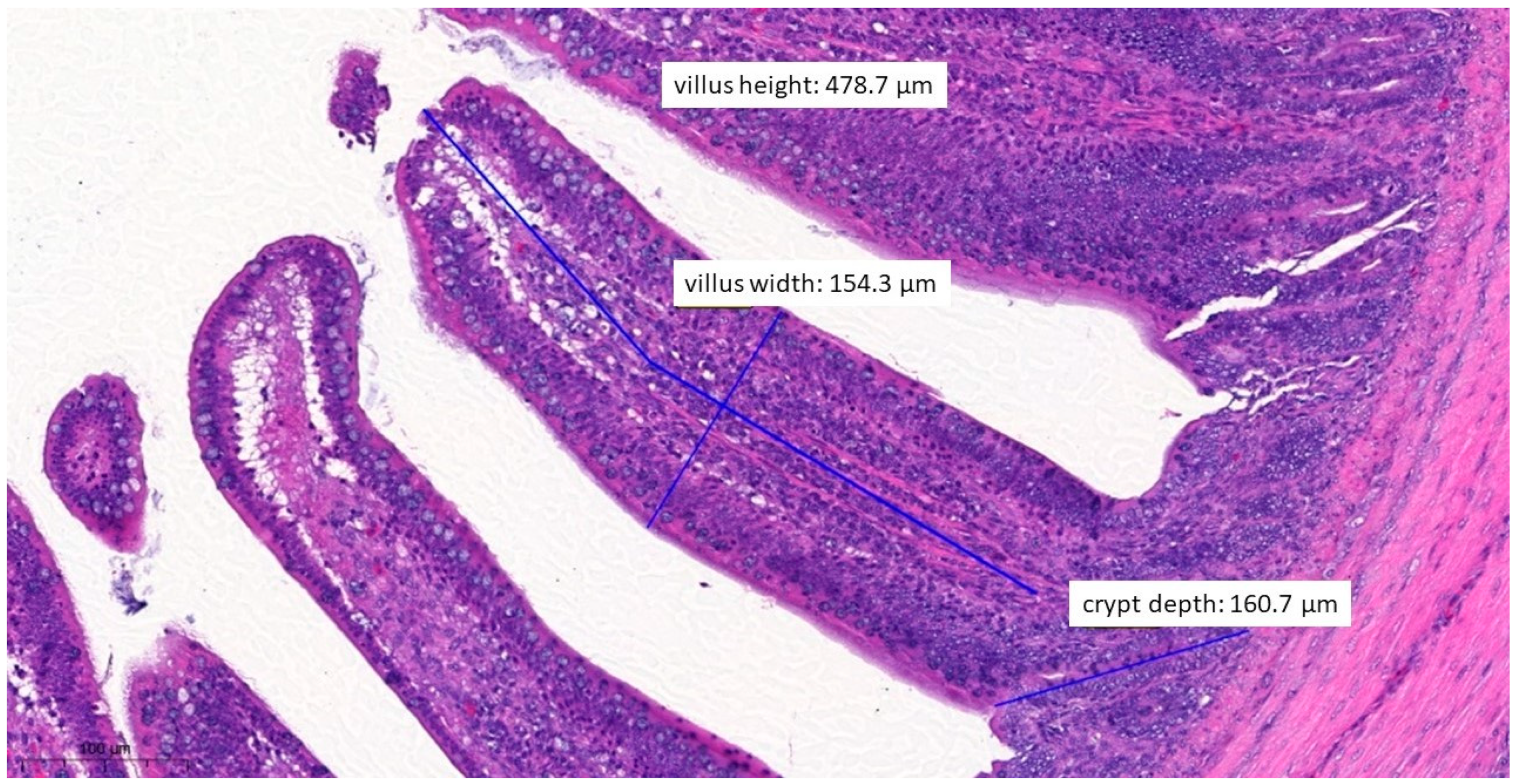 Vetsci 10 00706 g009