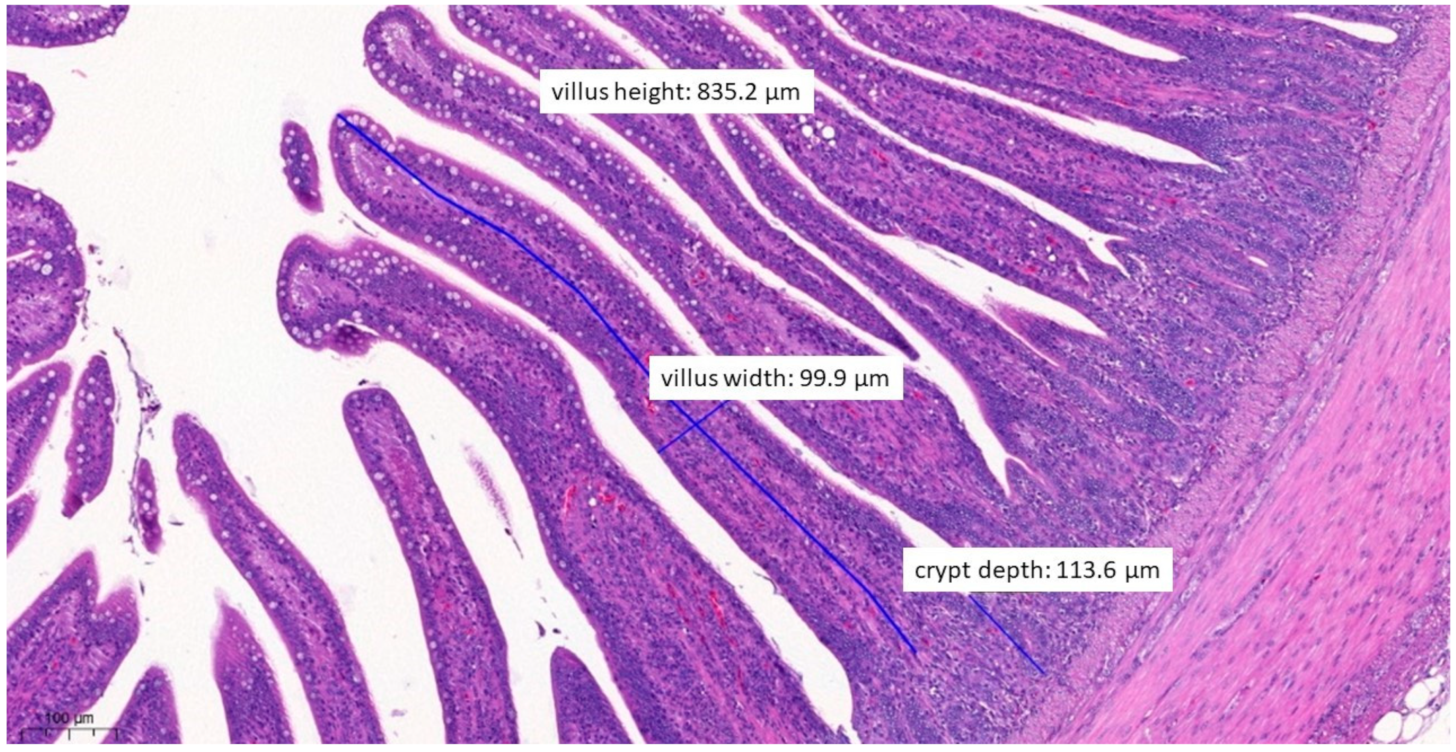 Vetsci 10 00706 g010