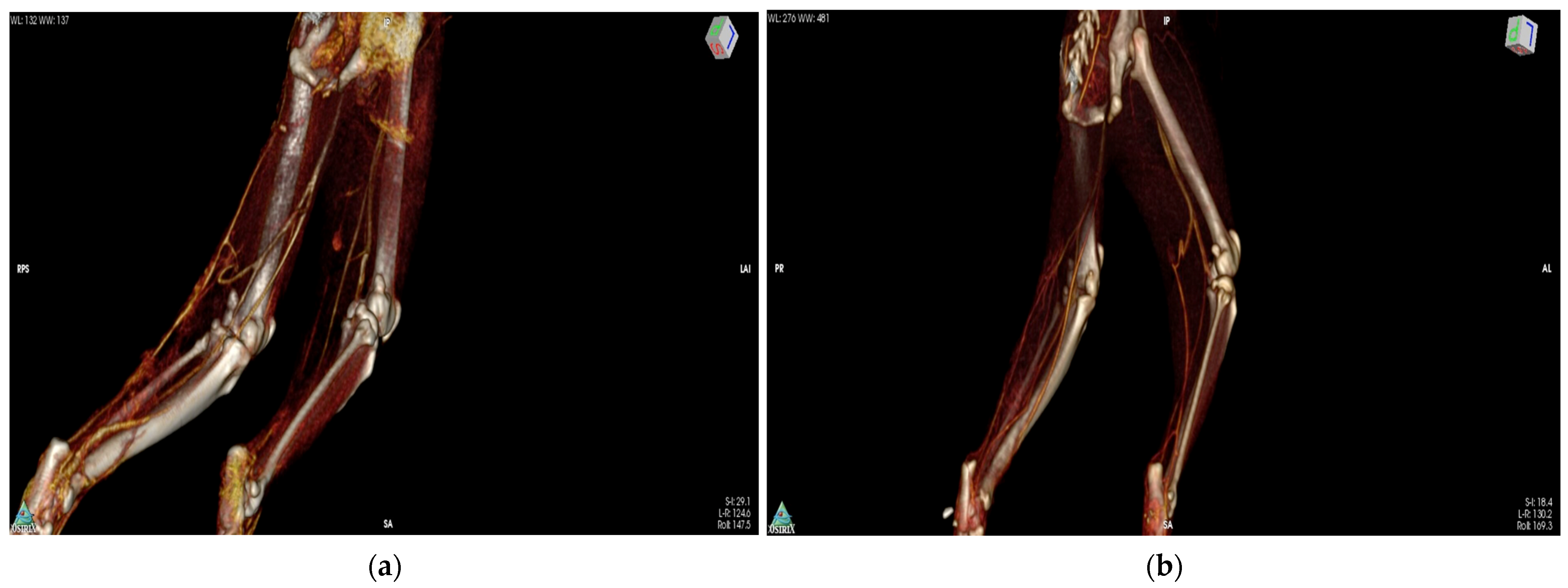 Vetsci 11 00006 g003