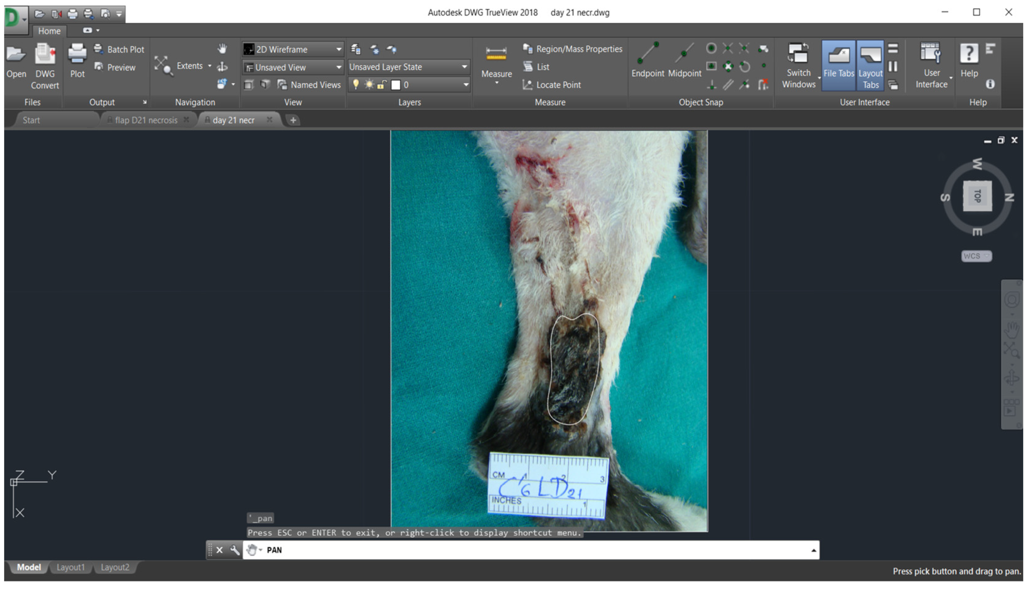 Vetsci 11 00006 g005