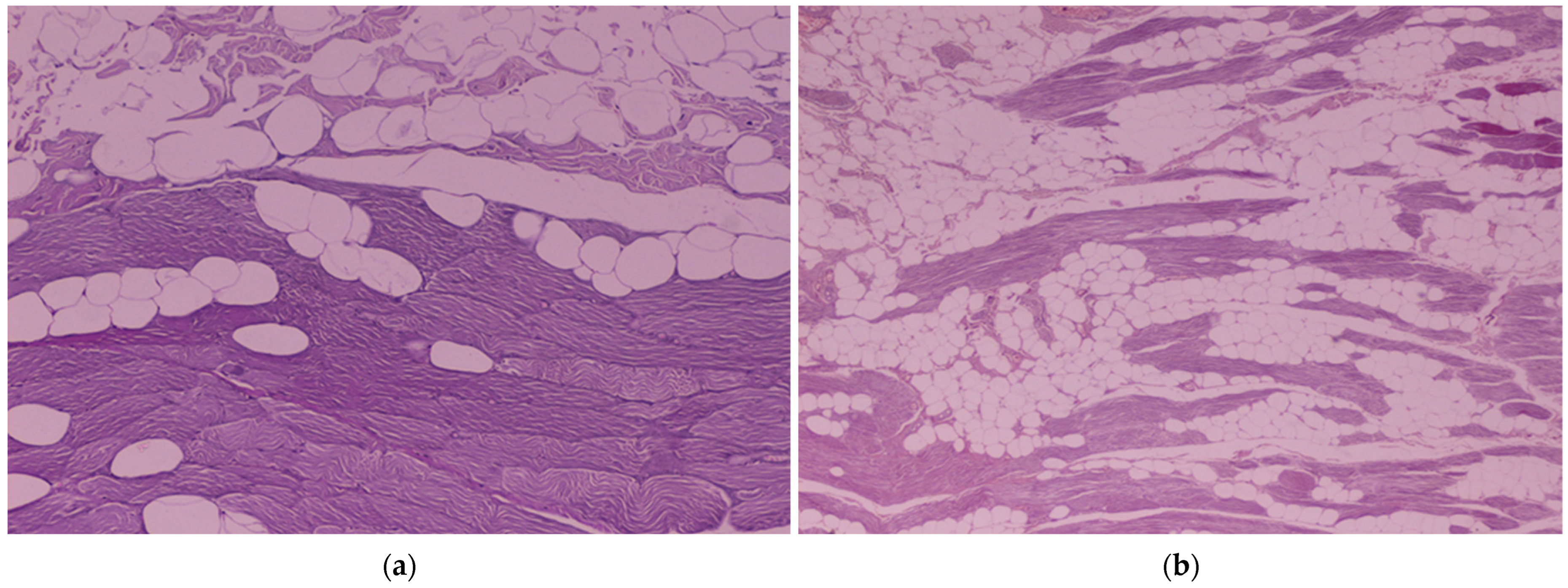 Vetsci 11 00006 g006