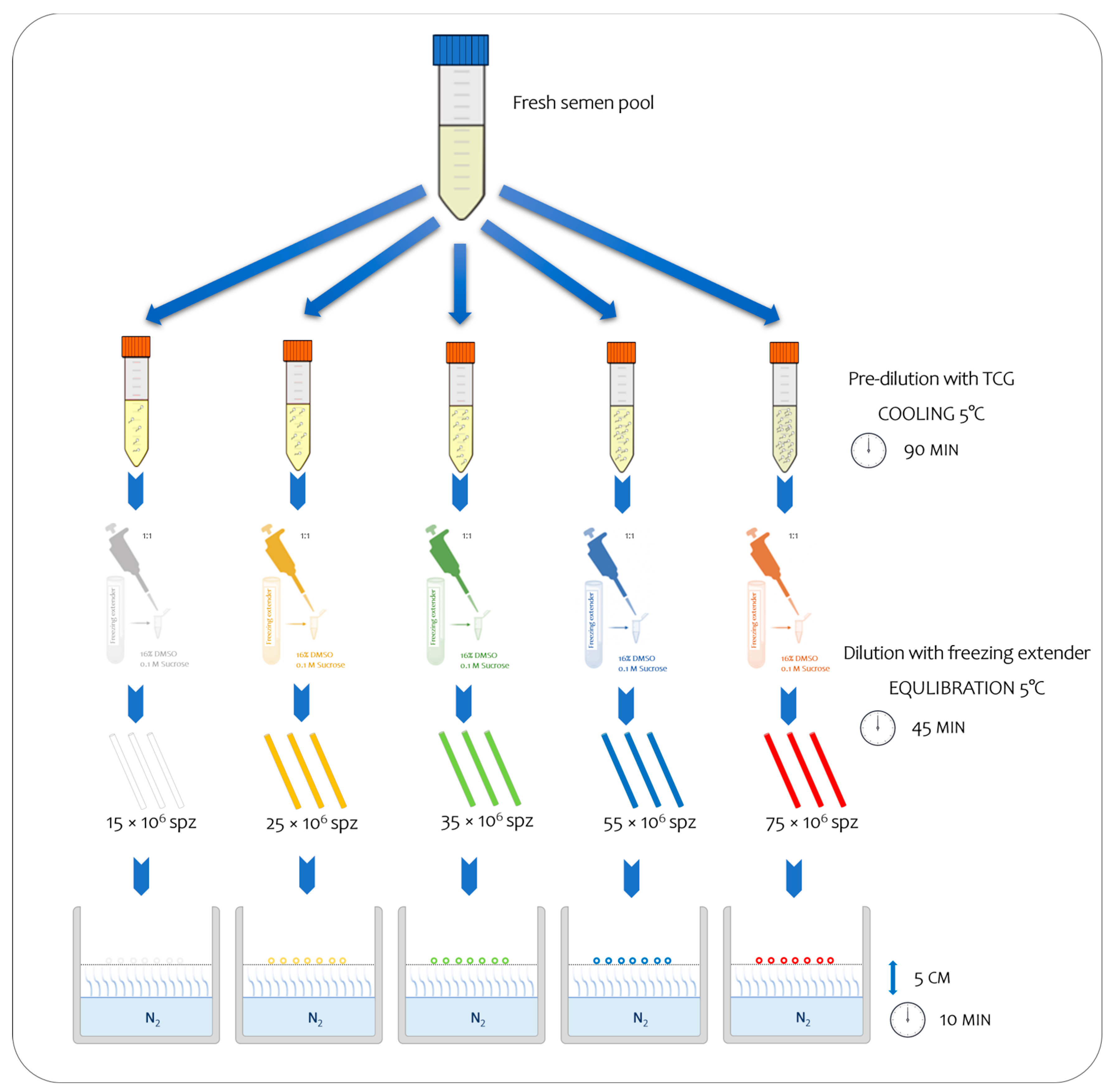 Vetsci 11 00009 g001